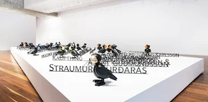 4 a celebration of life force: 'divided worlds': chris reid, adelaide emily floyd, icelandic puffins, 2017, installation view, 'divided worlds', anne & gordon samstag museum of art, adelaide, 2018; photo: saul steed