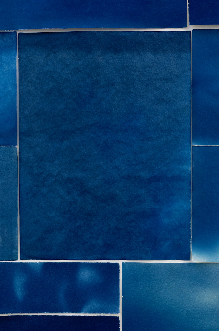 Utako Shindo, Ode to the Zephyr’s murmuring petal, 2018, detail; cyanotype print on paper, 99 x 181cm; image courtesy the artist and Sutton Gallery, Melbourne