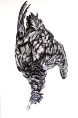 9 Last migrations: Pamela Lofts’s Free fall: KIERAN FINNANE Landfall (wind-scoured) , 2011, charcoal and gouache on Arches watercolour paper, 120 x 81cm