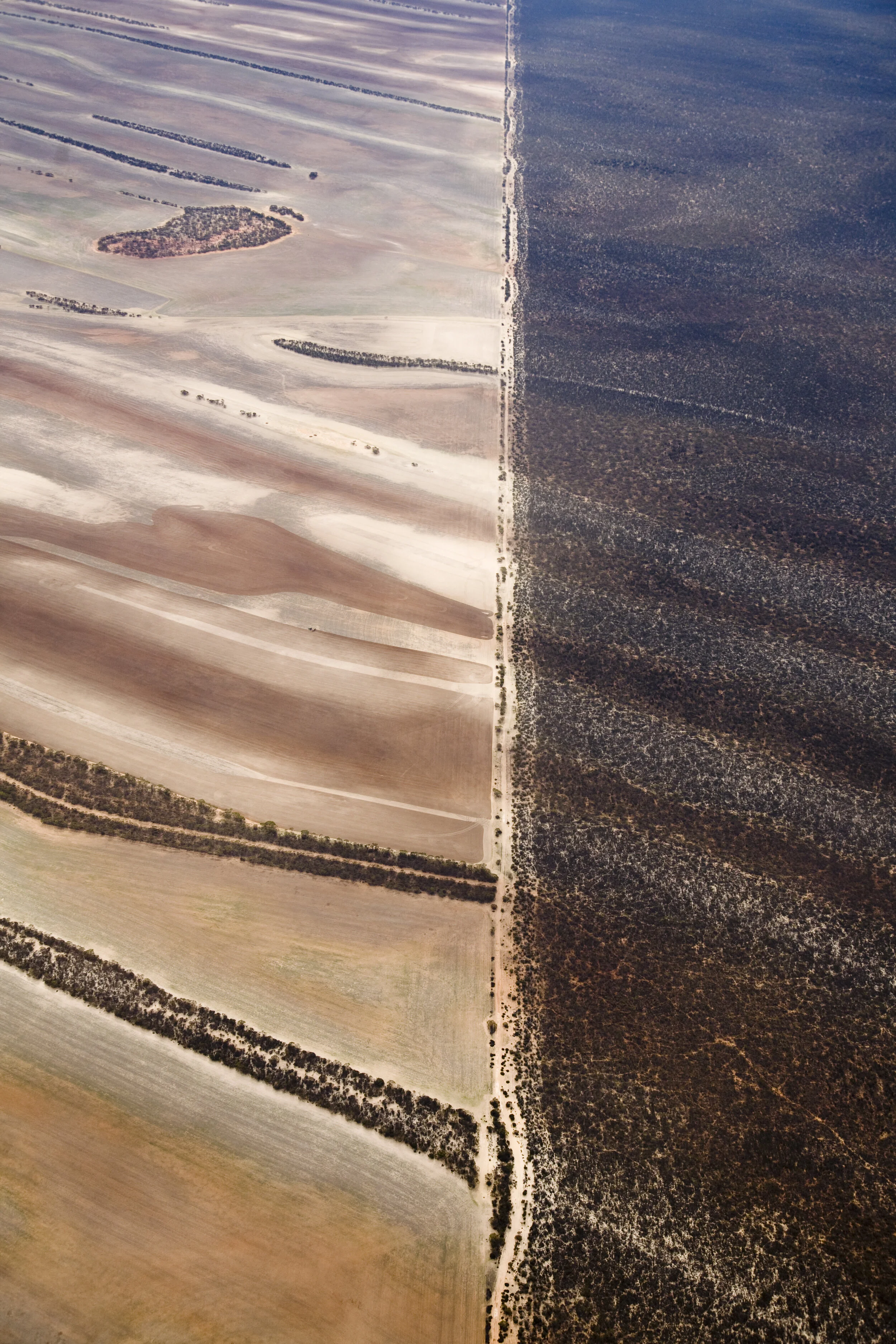 6 odd couplings and troubling times in the west: gary dufour,  perth    Richard Woldendorp,  Aerial over cleared and natural landscape, South Australia , 2008, inkjet colour photograph, 72 x 30cm; State Art Collection, Art Gallery of Western Australia, Perth; courtesy the artist