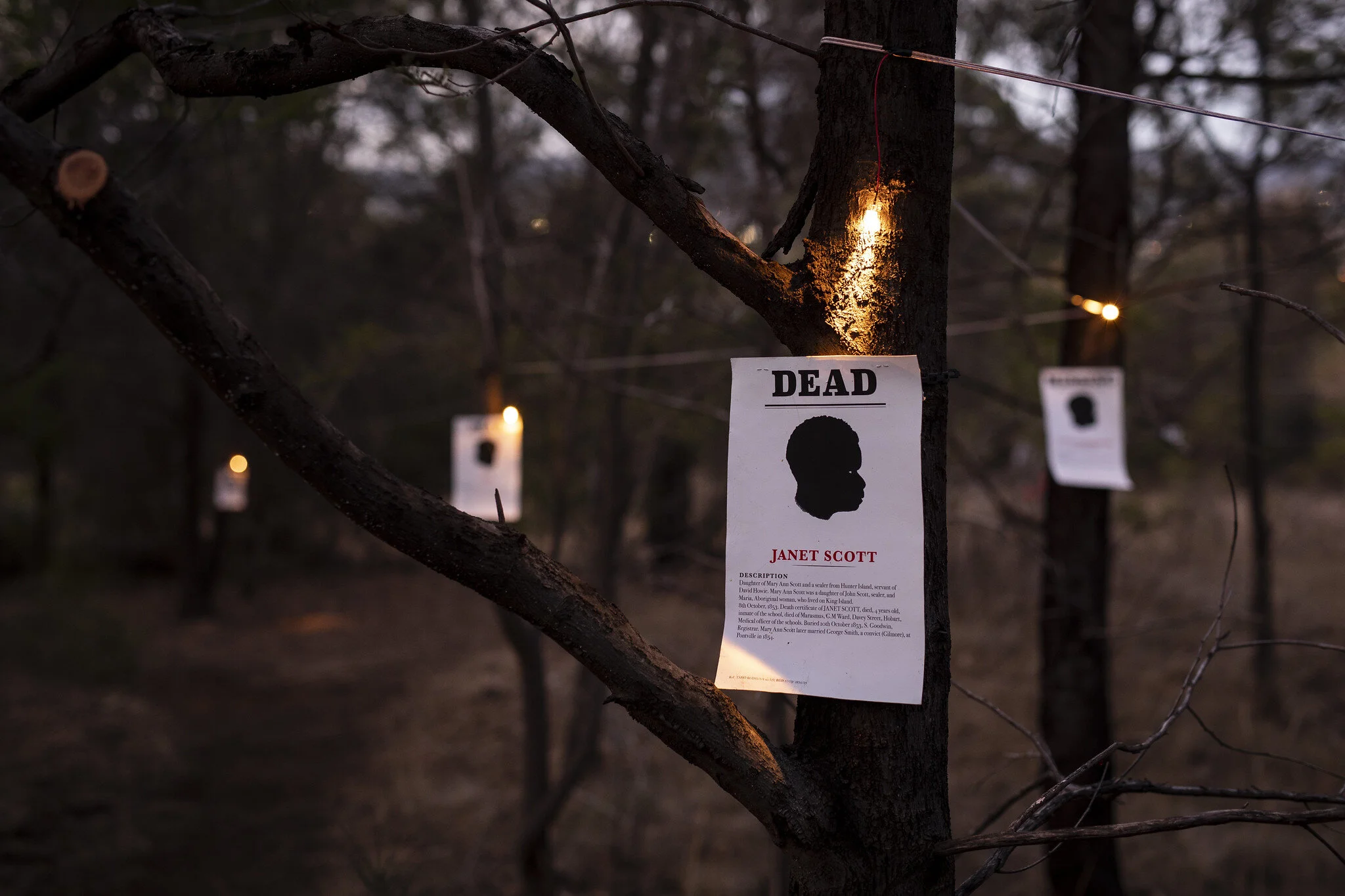 7 mind the gap: julie gough’s ‘tense past’ at tmag: lucy hawthorne,  hobart    Julie Gough,  Missing or Dead , installation view, ‘Dark Path’, Dark Mofo, Hobart, June 2019; image courtesy Dark Mofo, Hobart; photo: Rémi Chauvin