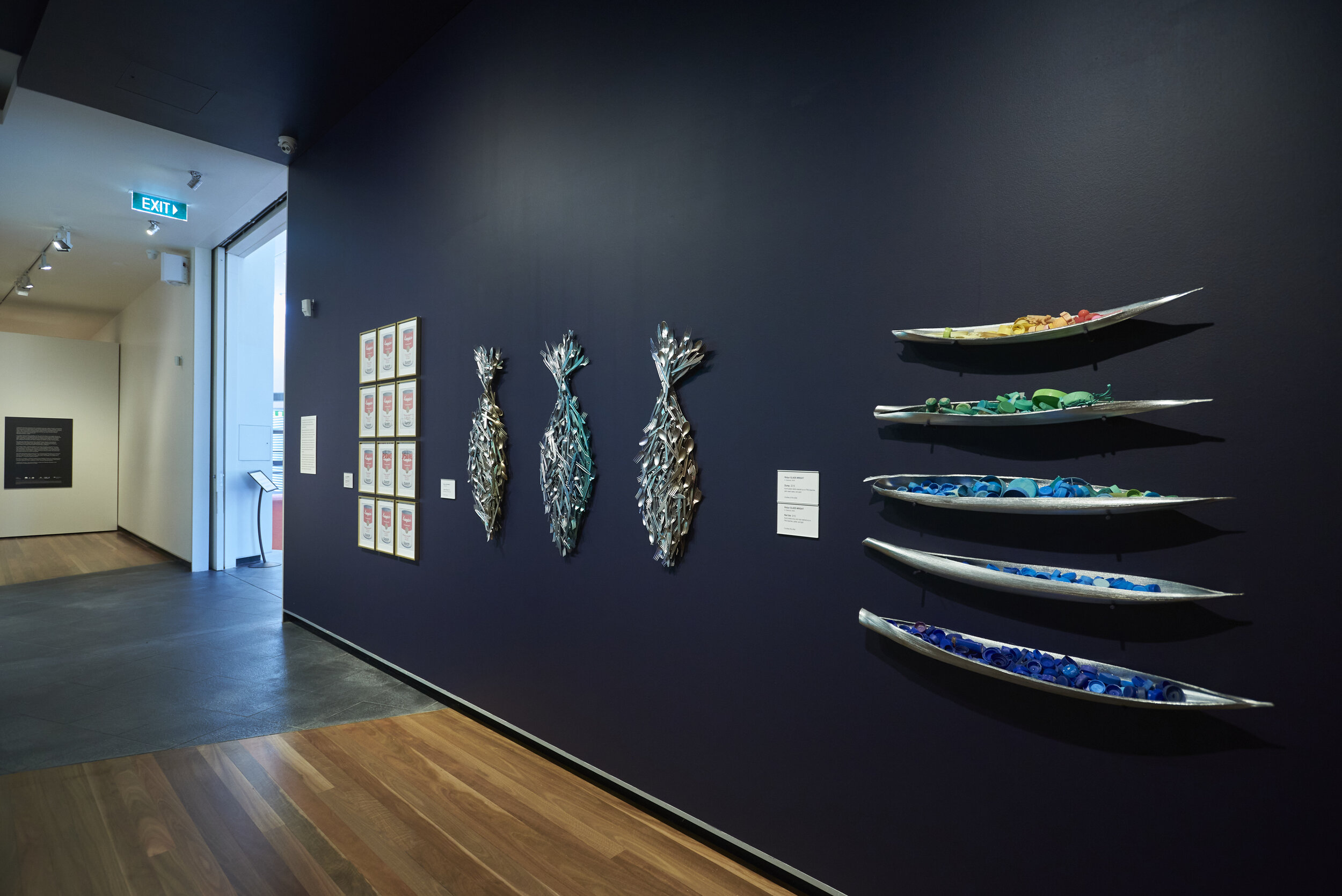   Disquiet: Ecological Anxieties and Transformations , exhibition installation view, Artspace Mackay, 2020; photo: Jim Cullen 