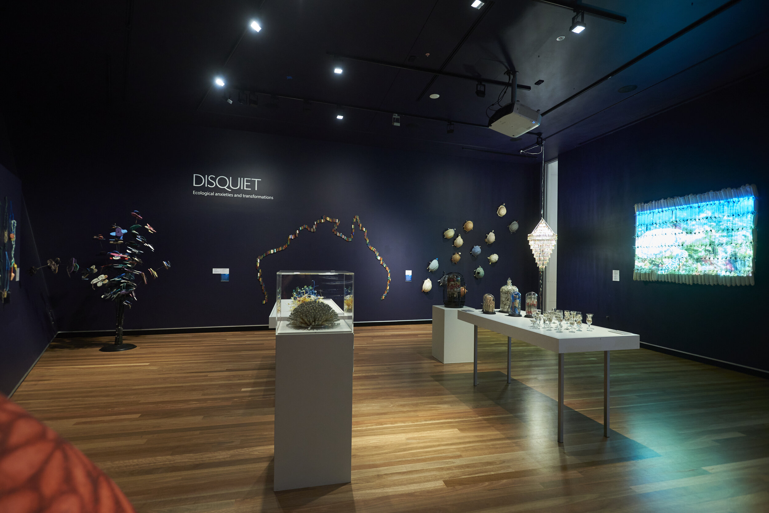   Disquiet: Ecological Anxieties and Transformations , exhibition installation view, Artspace Mackay, 2020; photo: Jim Cullen 
