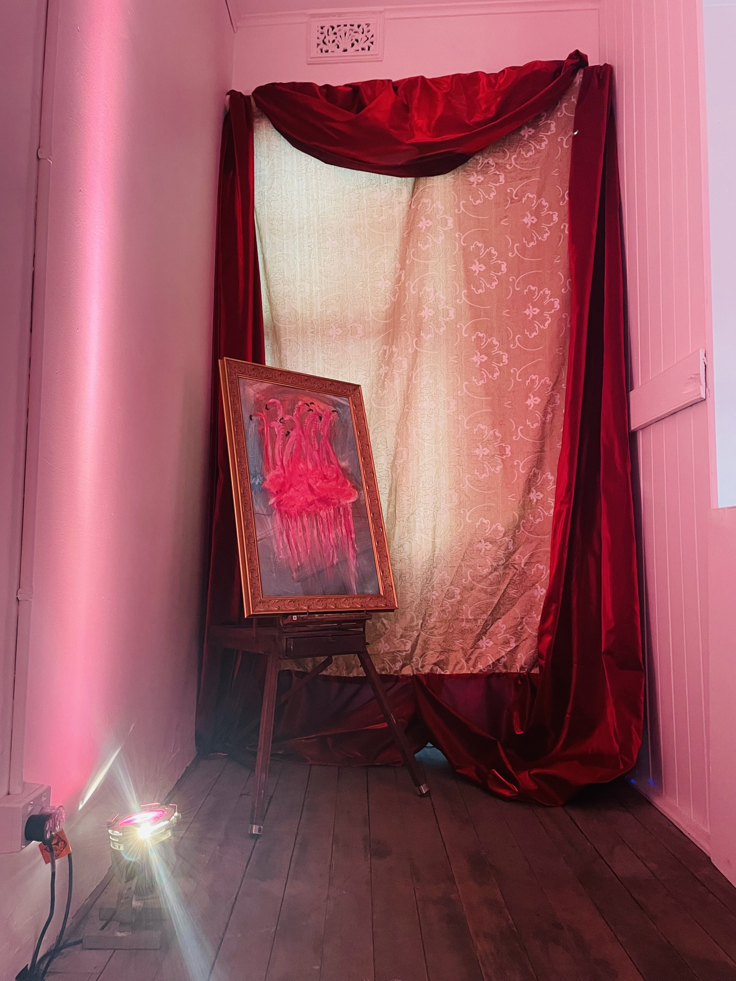   Eye See Pink, Black and White , exhibition installation view; courtesy the artist and Rogue Pop-up Gallery, Sydney; photo: Karen Brown 