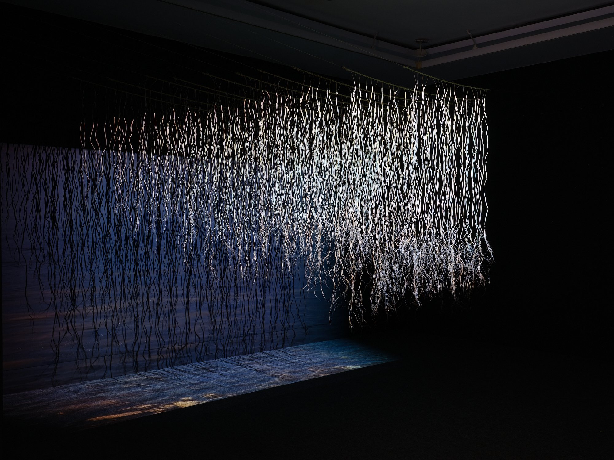  Denise Batchelor, Maureen Lander and Stìobhan Lothian,  Ngaru Paewhenua , 2023, installation view, ‘Huarere: Weather Eye, Weather Ear’, Te Tuhi, Tamaki Makaurau/Auckland, 2023; dried harakeke strips, single-channel video and sound, dimensions variab