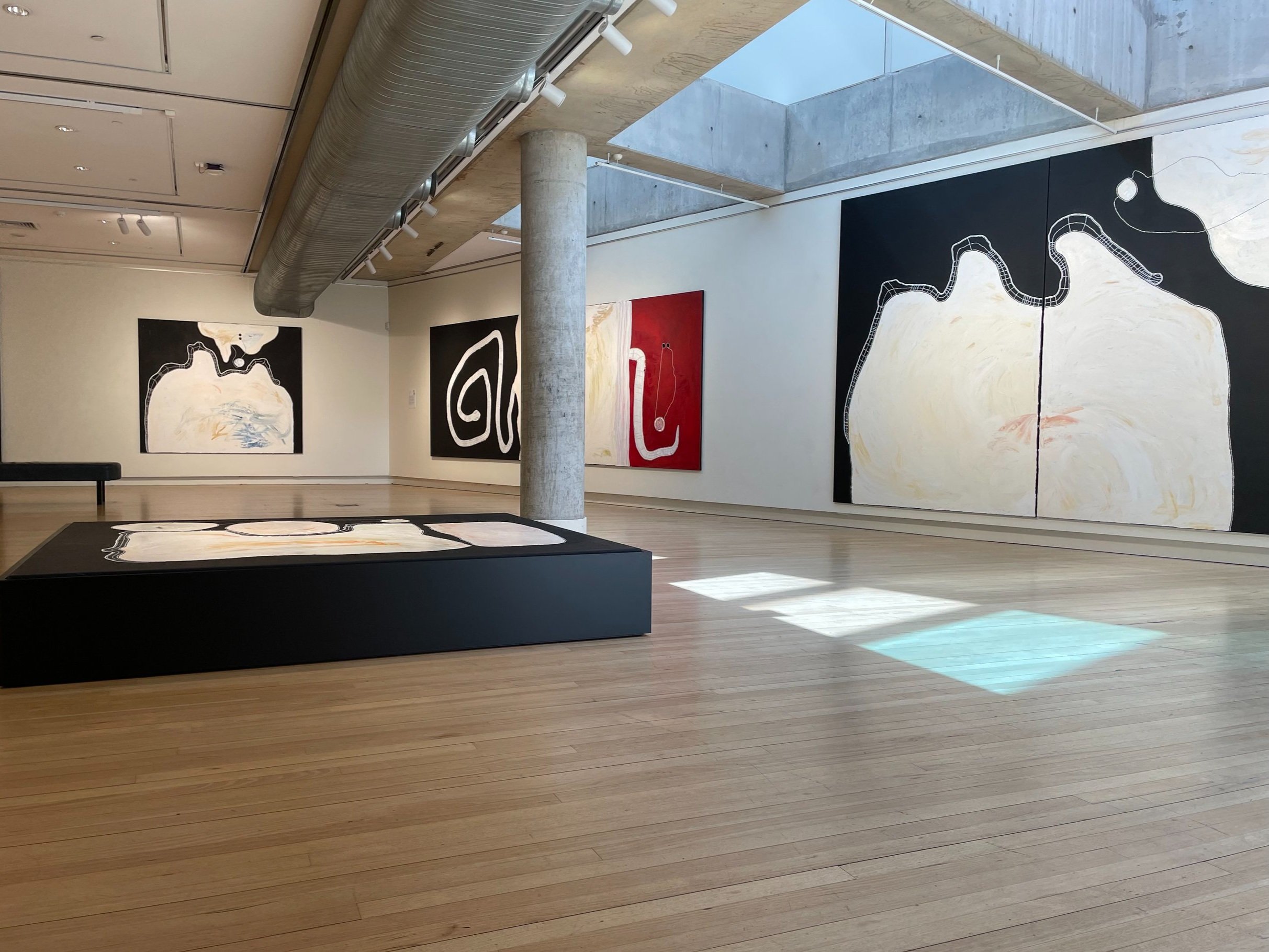   Timo Hogan: Kumpilpa Ngaranyi – Unseen , 2023, exhibition installation view, Light Square Gallery, Tarntanya/Adelaide, 2023; courtesy Salon Art Projects 
