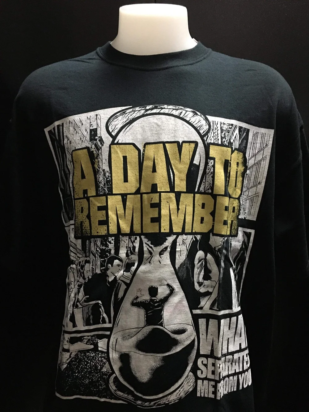 A Day To Remember What Separates Me from You Inacoma