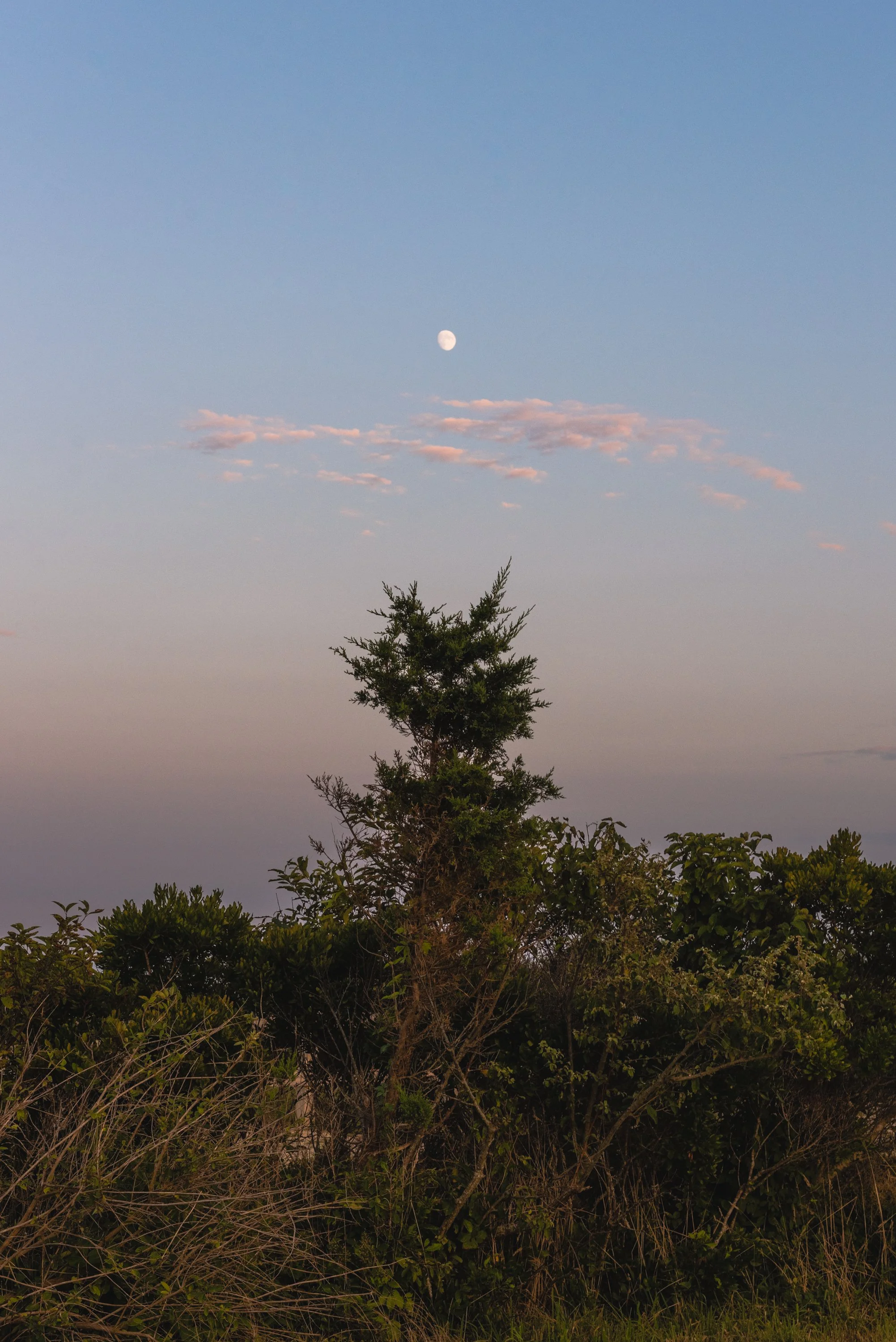 AmyFields_Moon.jpg