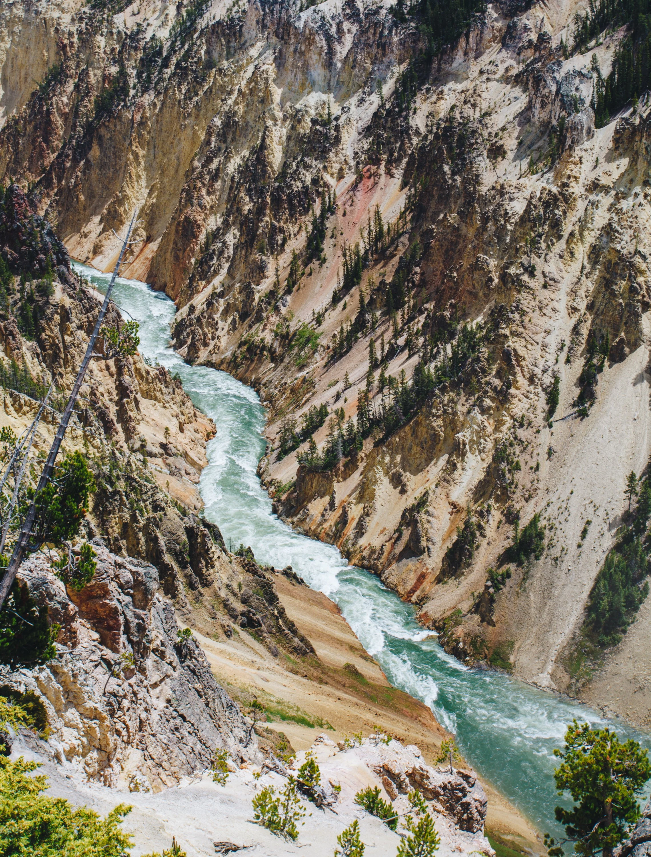 AmyFields_Yellowstone.jpg