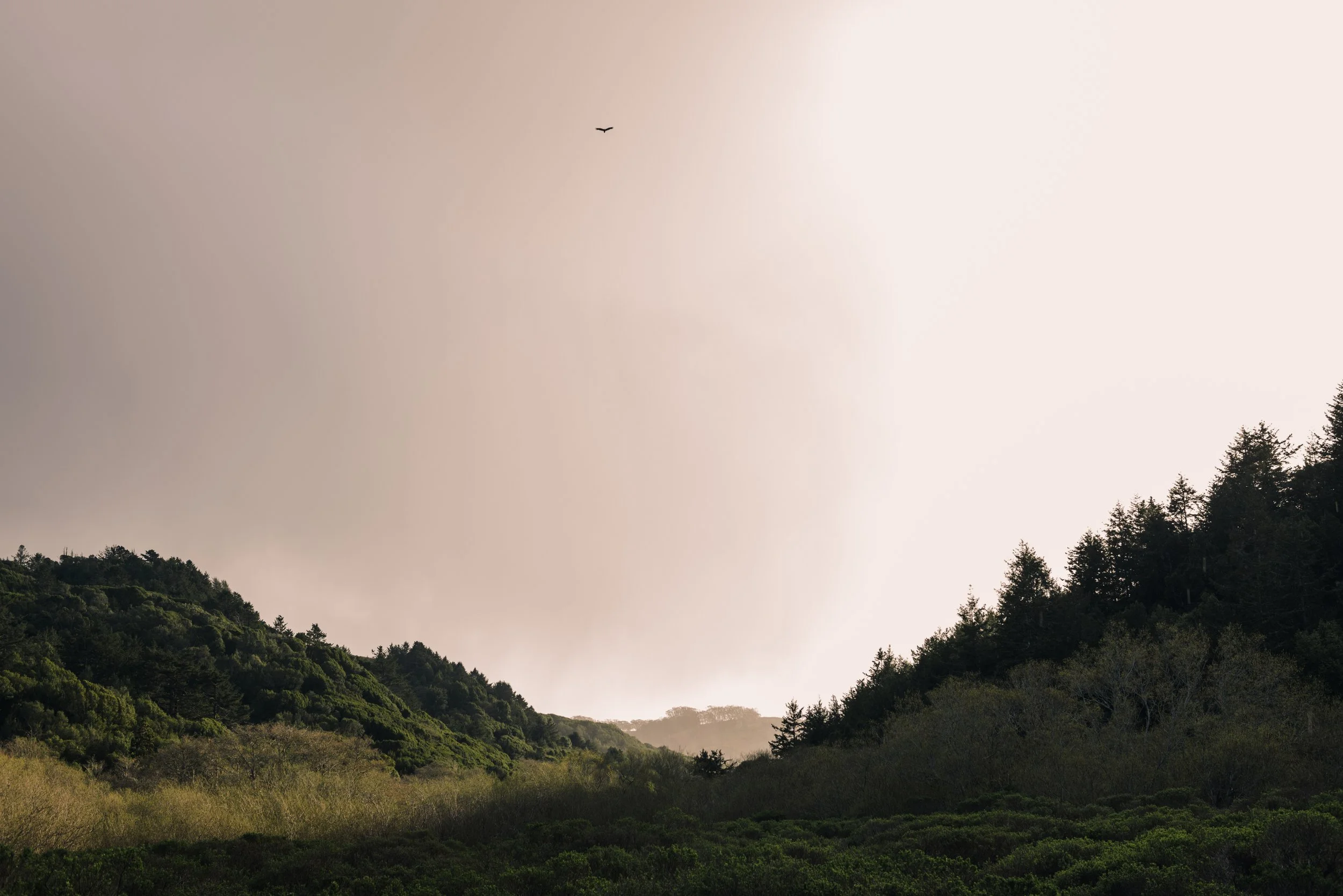 _DSC9898.jpg