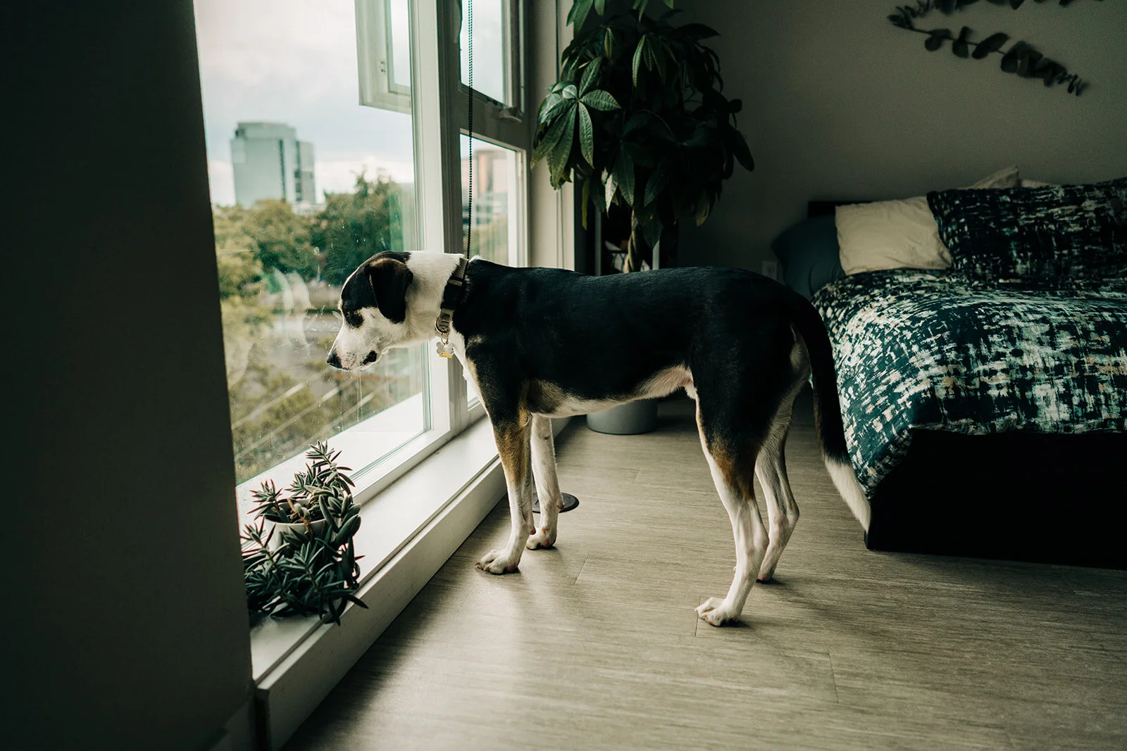 jenna+nic-12_websize.jpg