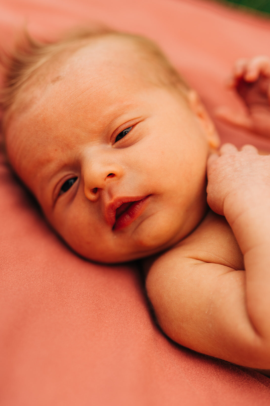 finley-newborn-105_websize.jpg