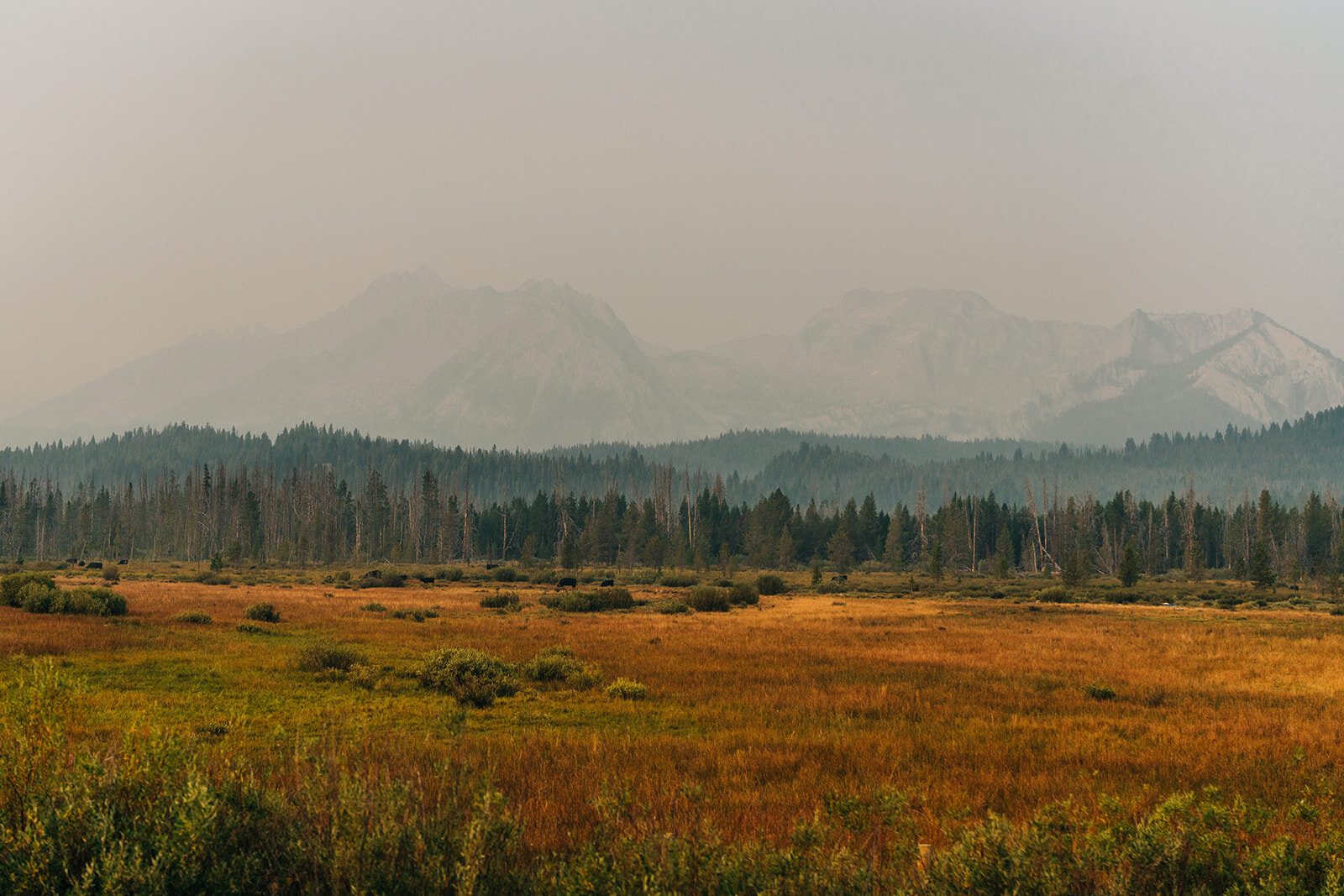 julia+spencer-stanleylake-238_websize.jpg