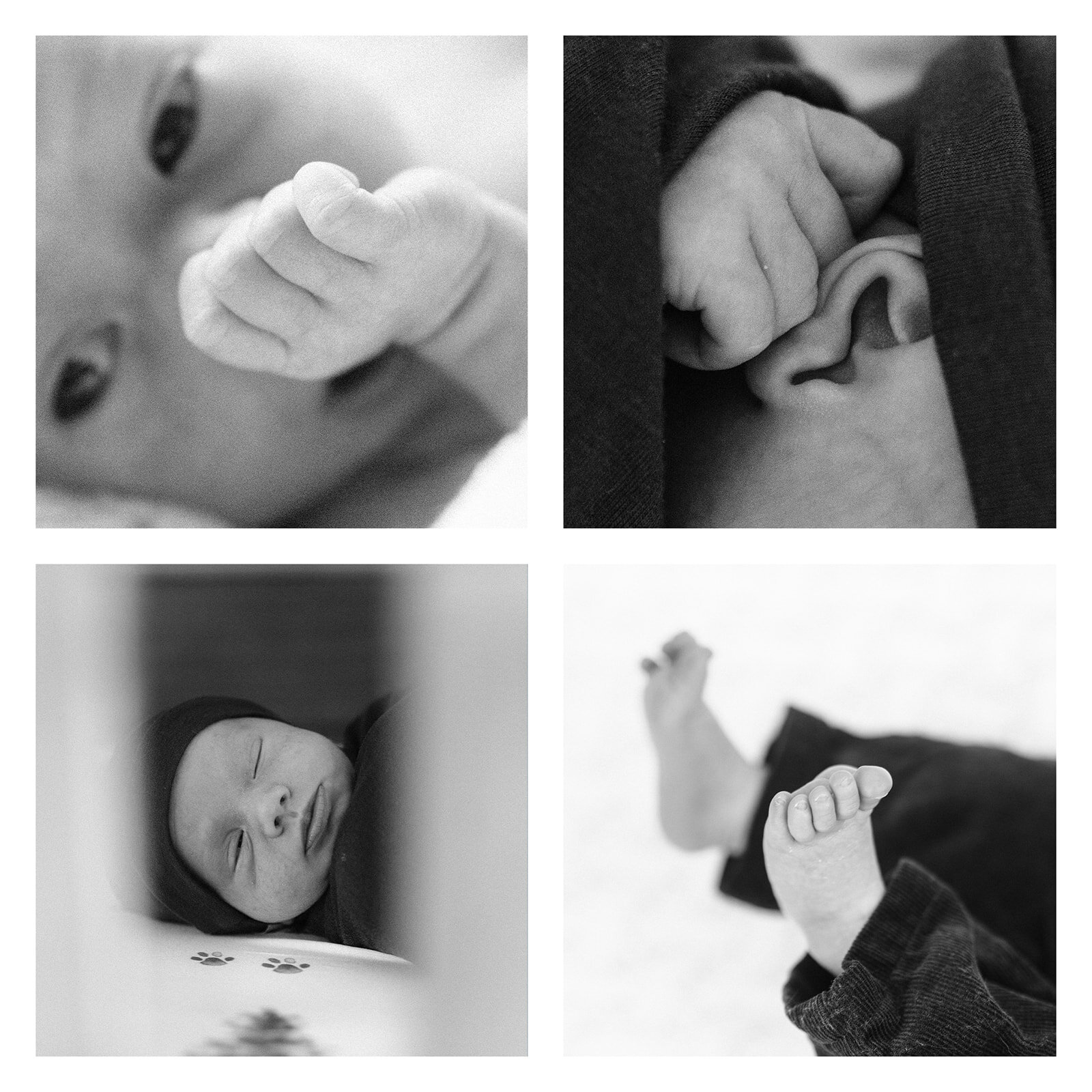 colton newborn collage_websize.jpg