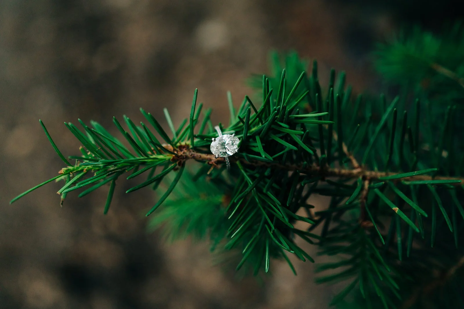megan+jake-engagement-194.jpg