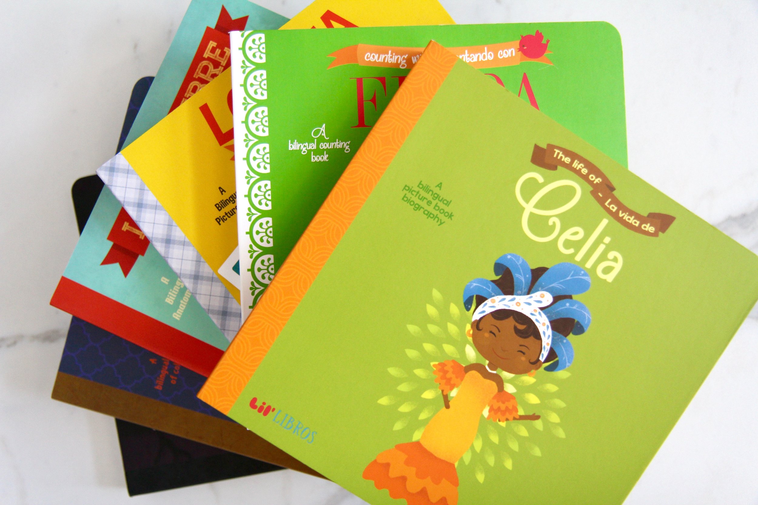 Select titles from the Lil' Libros library. (Photo Credit: Hermosa Journal)