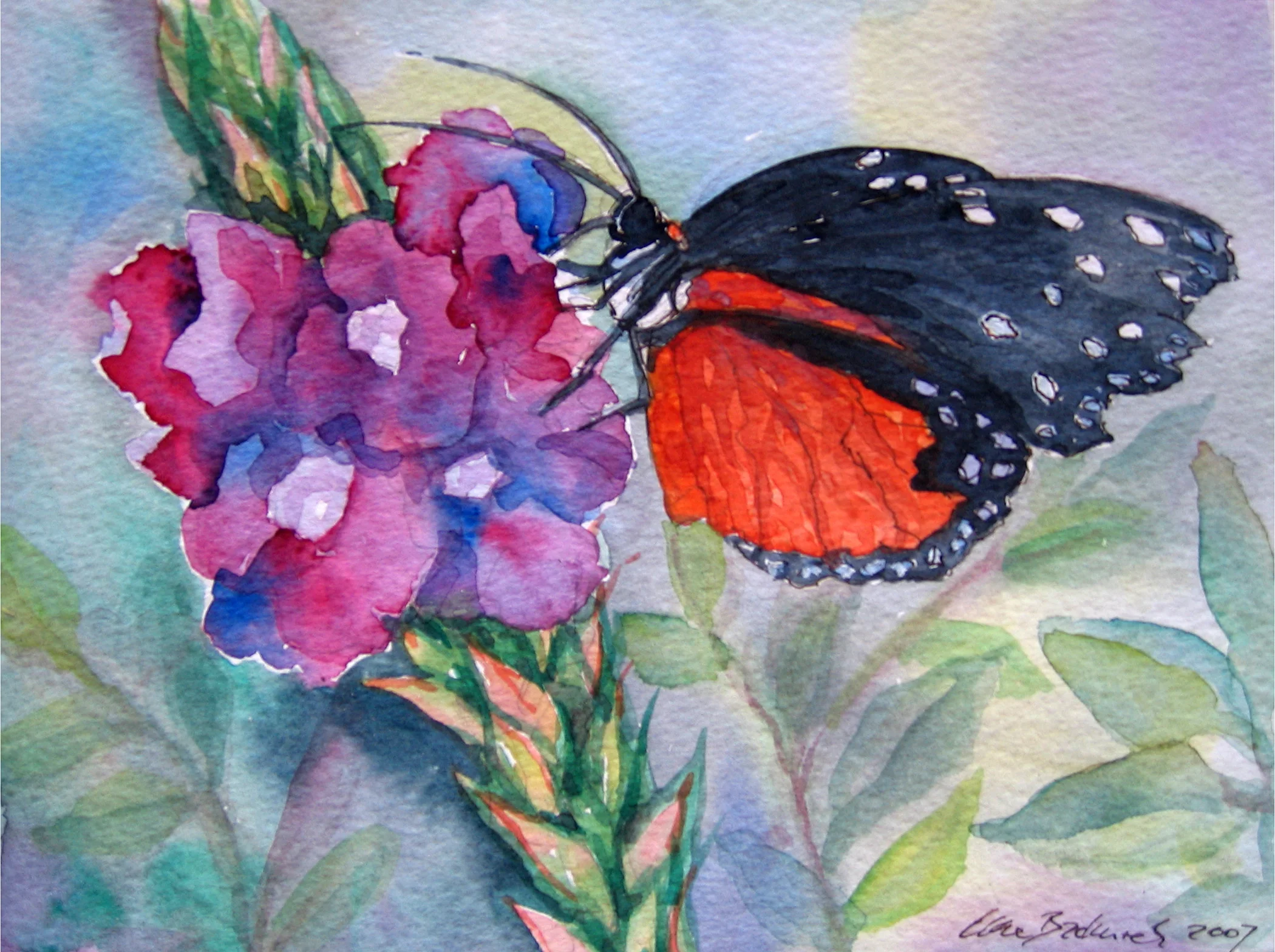 Butterfly P.jpg