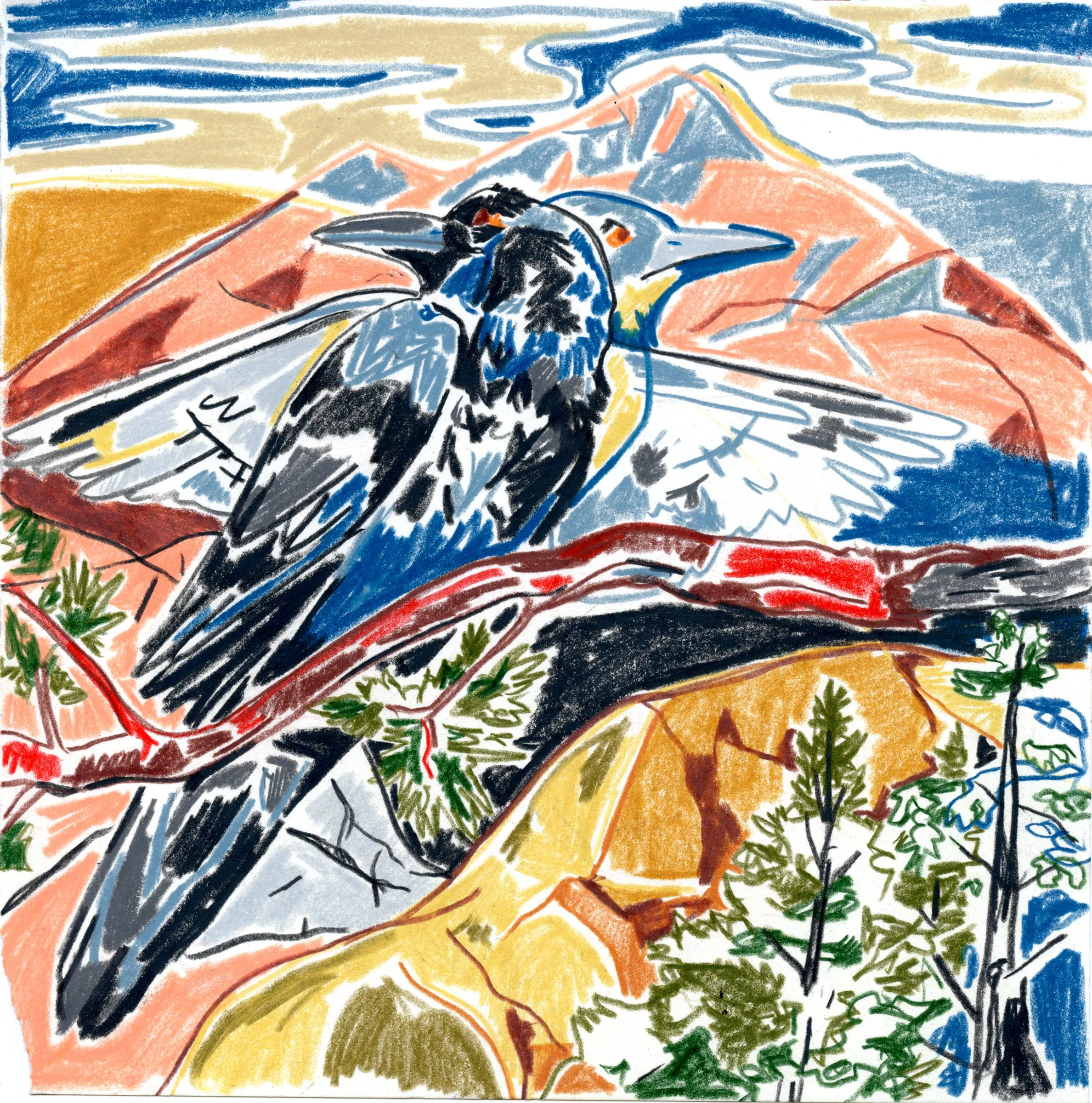 Crow Spirit drawing.jpg