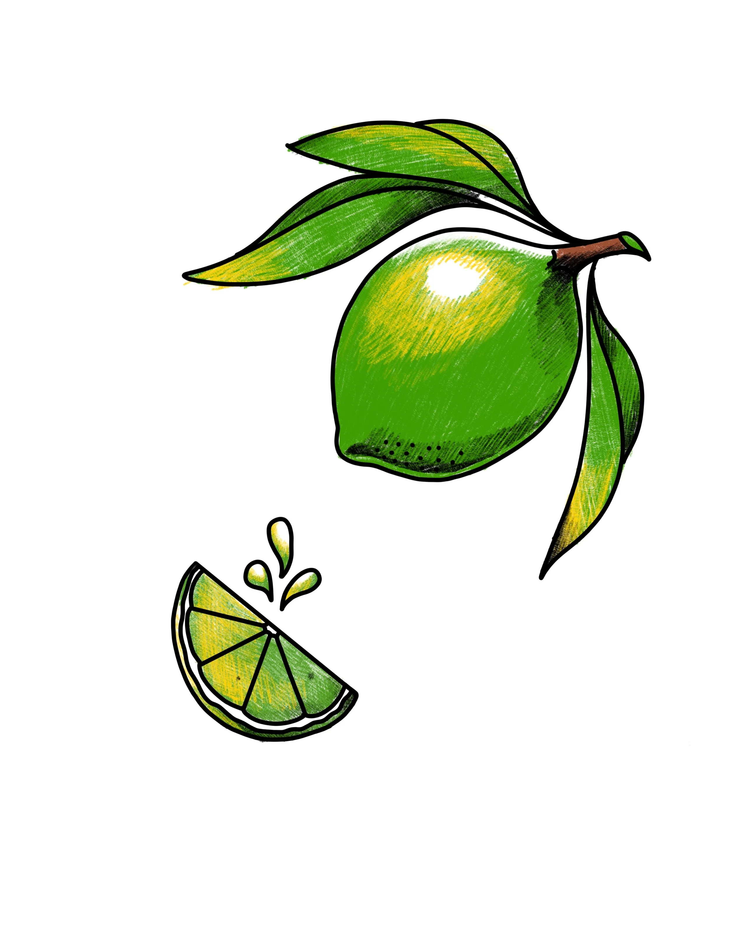 Lime.jpg