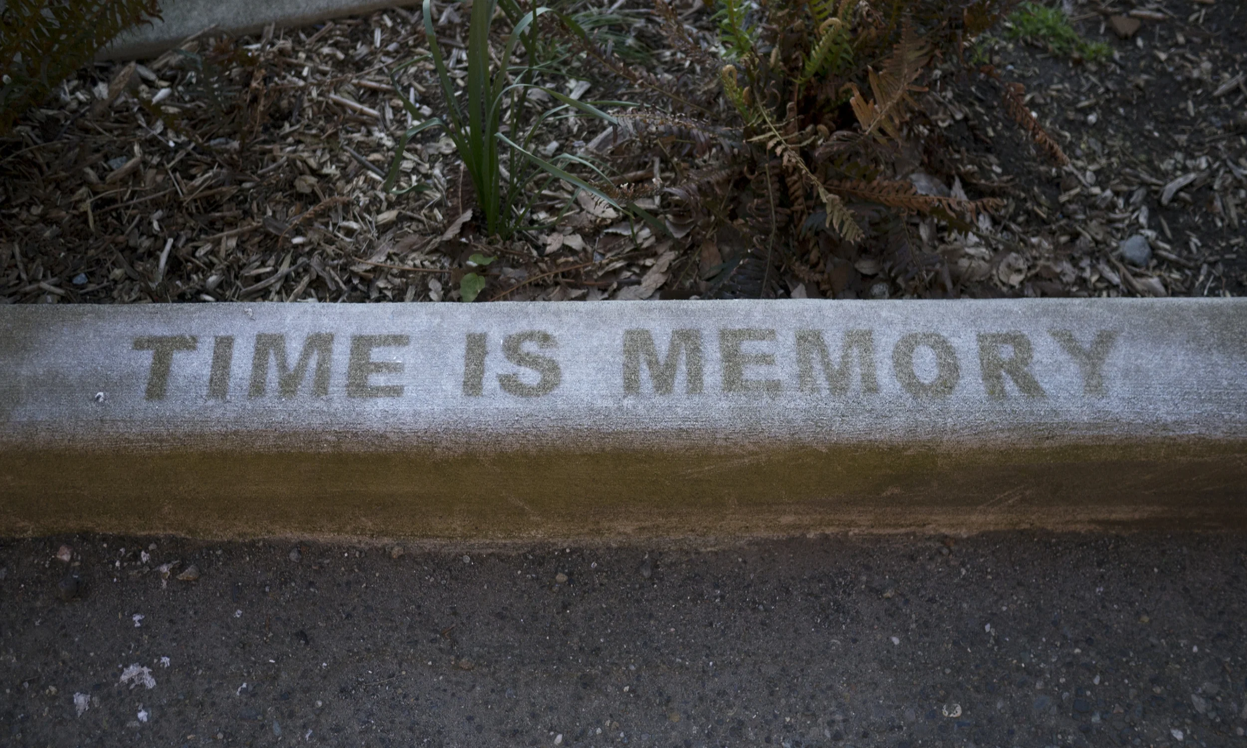Time Is Memory (home)