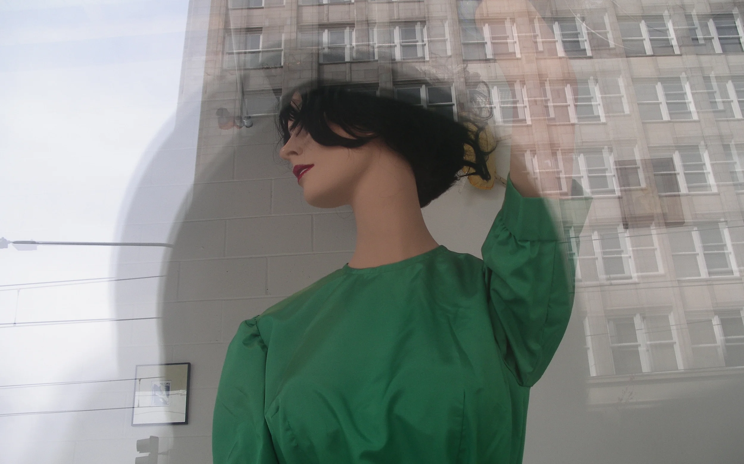 The Misadventure of Missi the Kalico Kitti