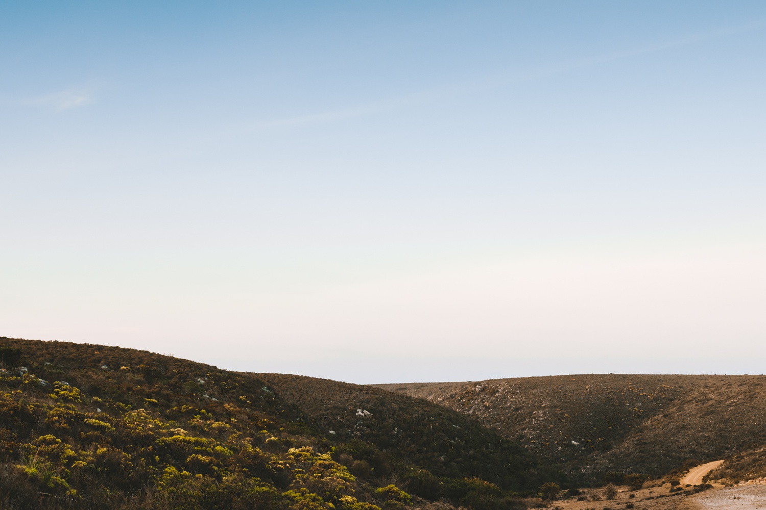 cathryn_warwick_wearecharlieray_hopewell_conservation_eastern_cape_wedding_0114.jpg