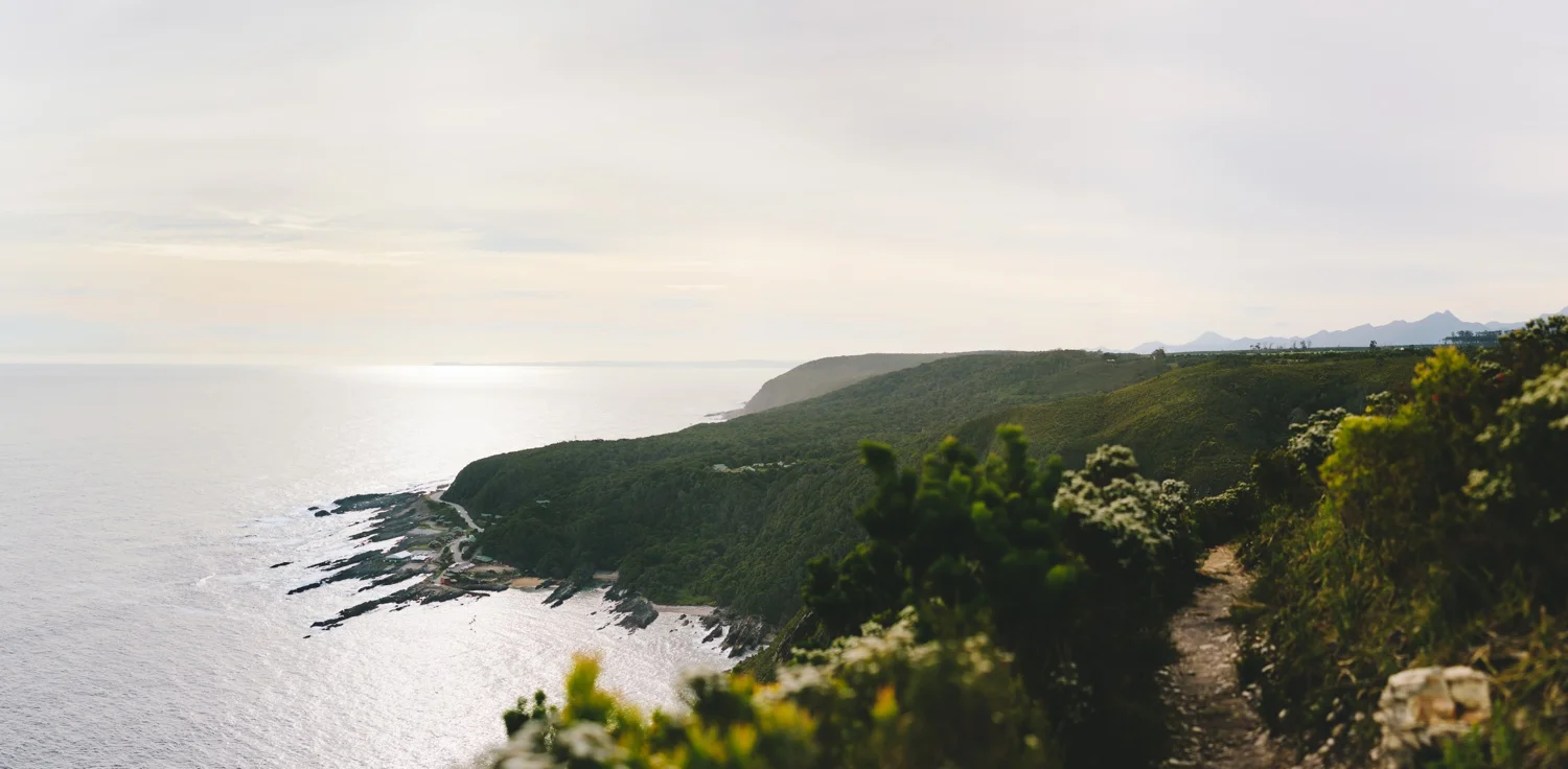 wearecharlieray_lauren_rollie_runaway_romance_rebecca_misty_mountain_titsikamma_garden_route_ferns_forest_storms_river_0077.jpg