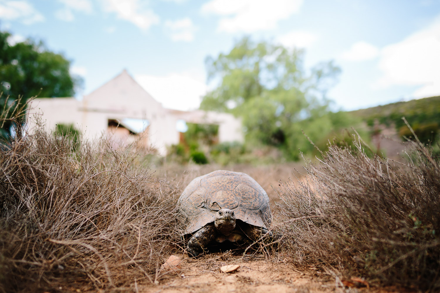 Eastern_Cape_Wedding_Photographer_kuier_bush_adventure5.jpg