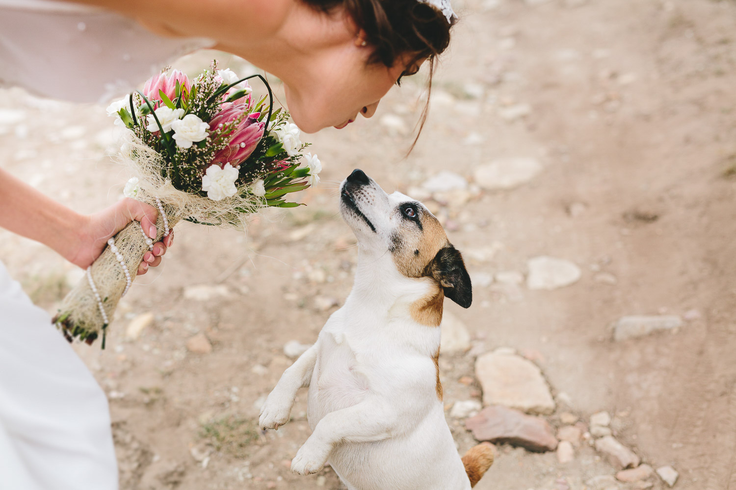 Eastern_Cape_Wedding_Photographer_kuier_bush_adventure13.jpg