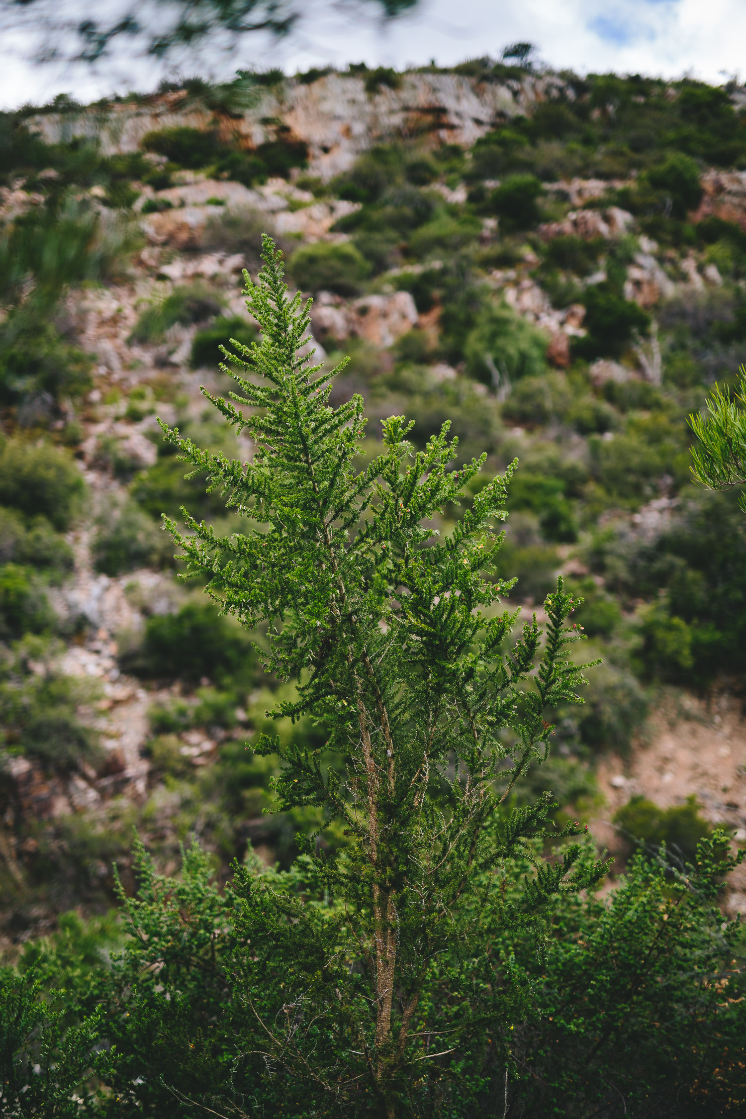 Eastern_Cape_Wedding_Photographer_kuier_bush_adventure33.jpg