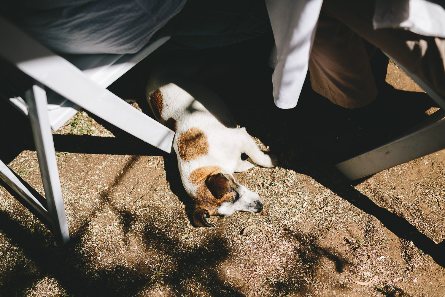 Eastern_Cape_Wedding_Photographer_kuier_bush_adventure49.jpg