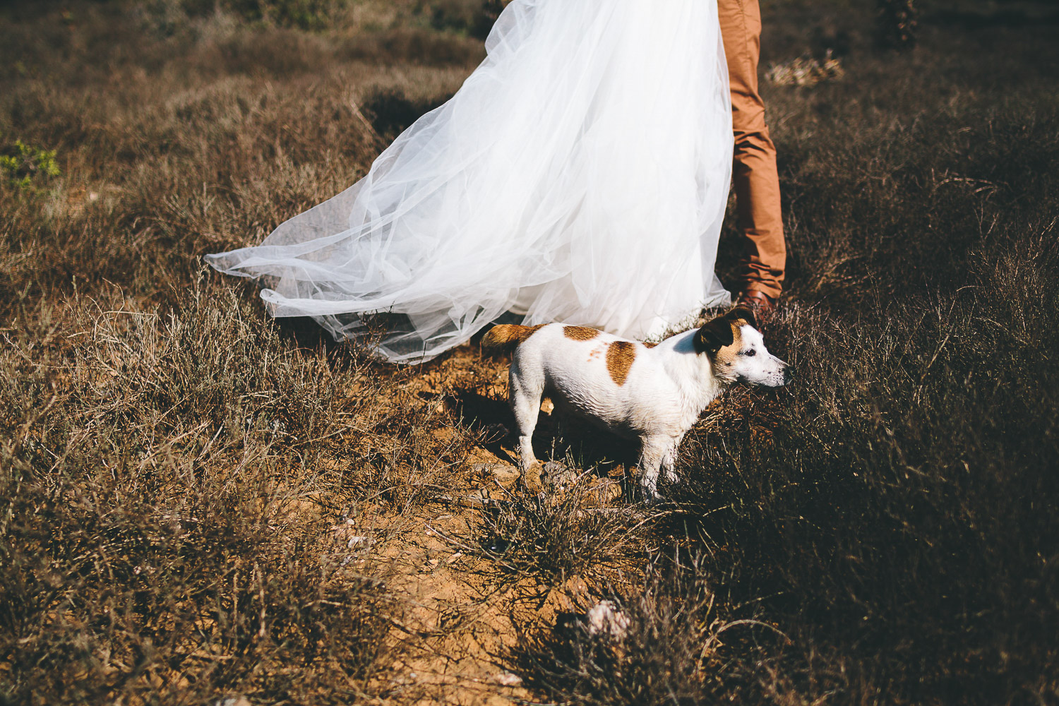 Eastern_Cape_Wedding_Photographer_kuier_bush_adventure68.jpg