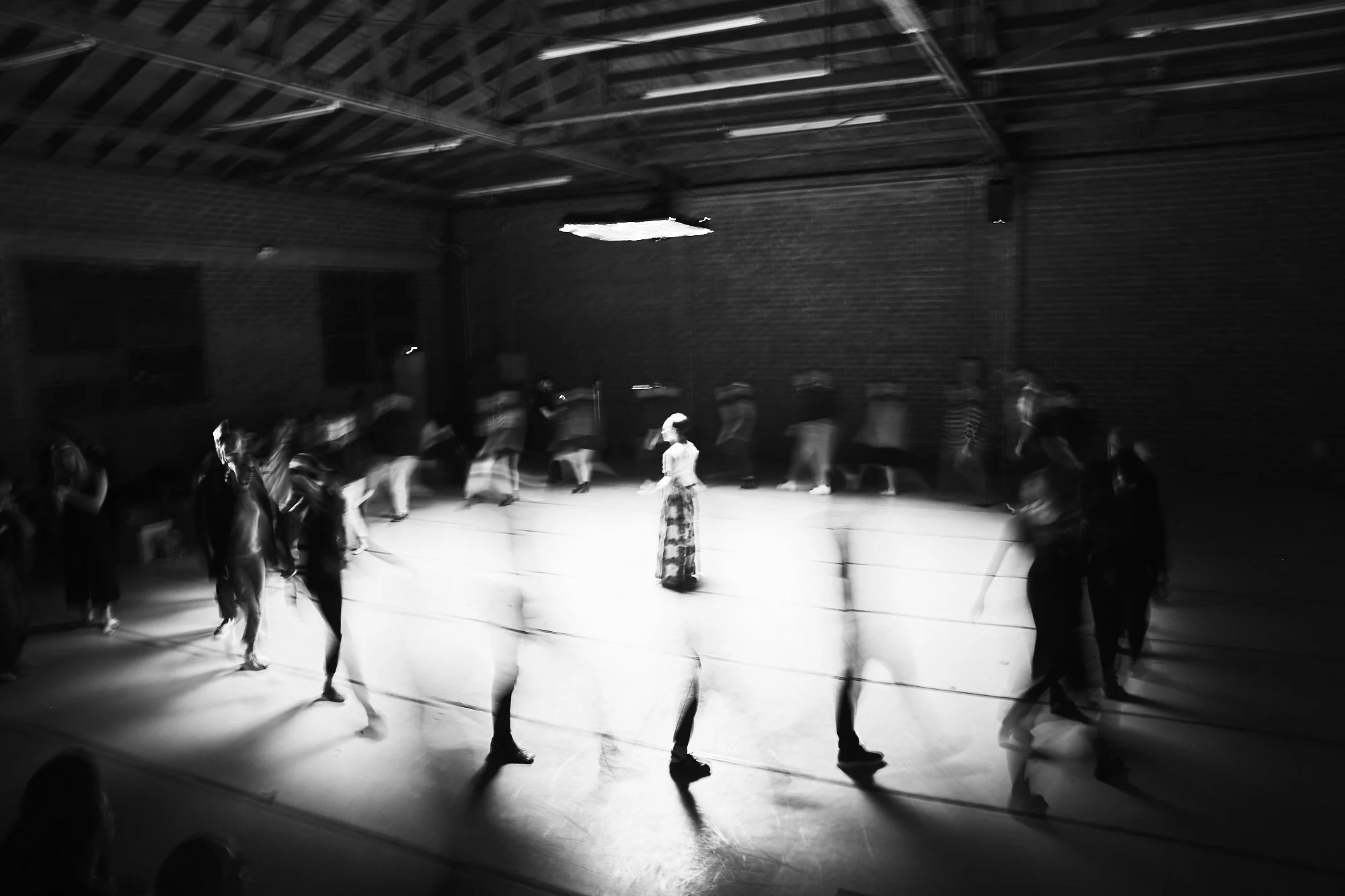 LinearSympathy Performance1713.jpg