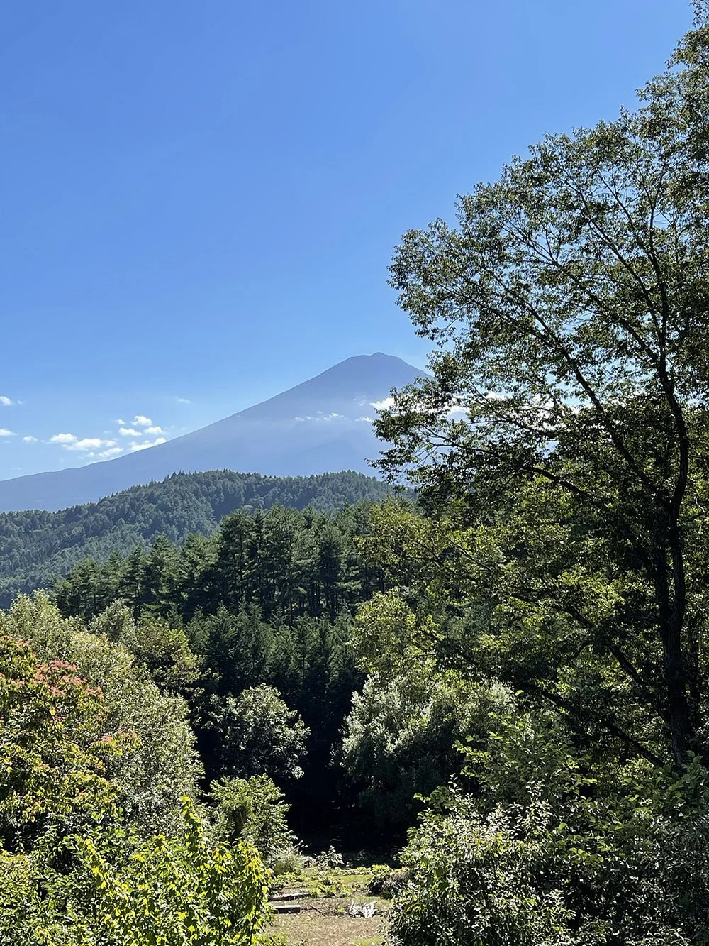 mt-fuji.jpg