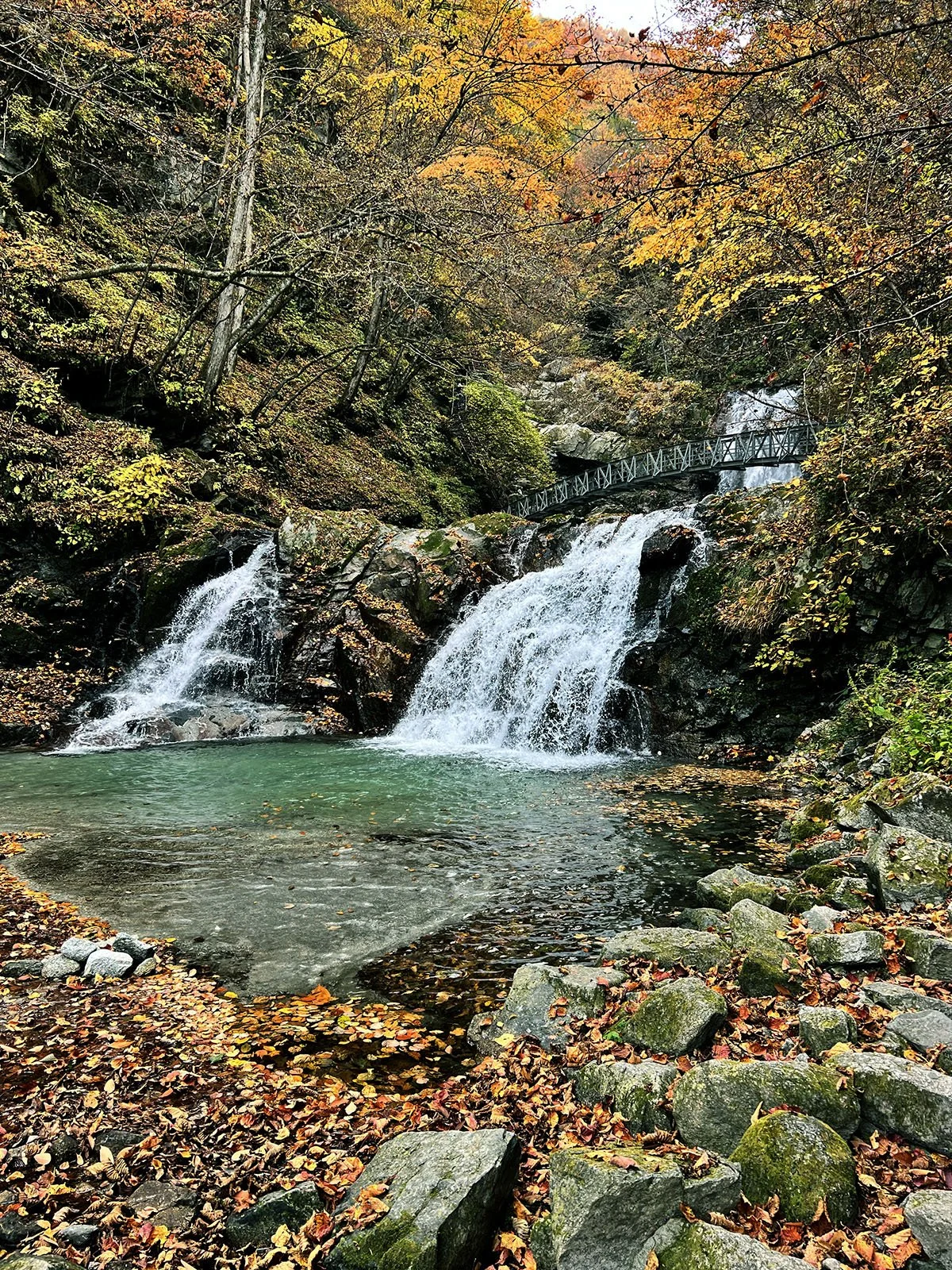 Shojiga_trail.jpg