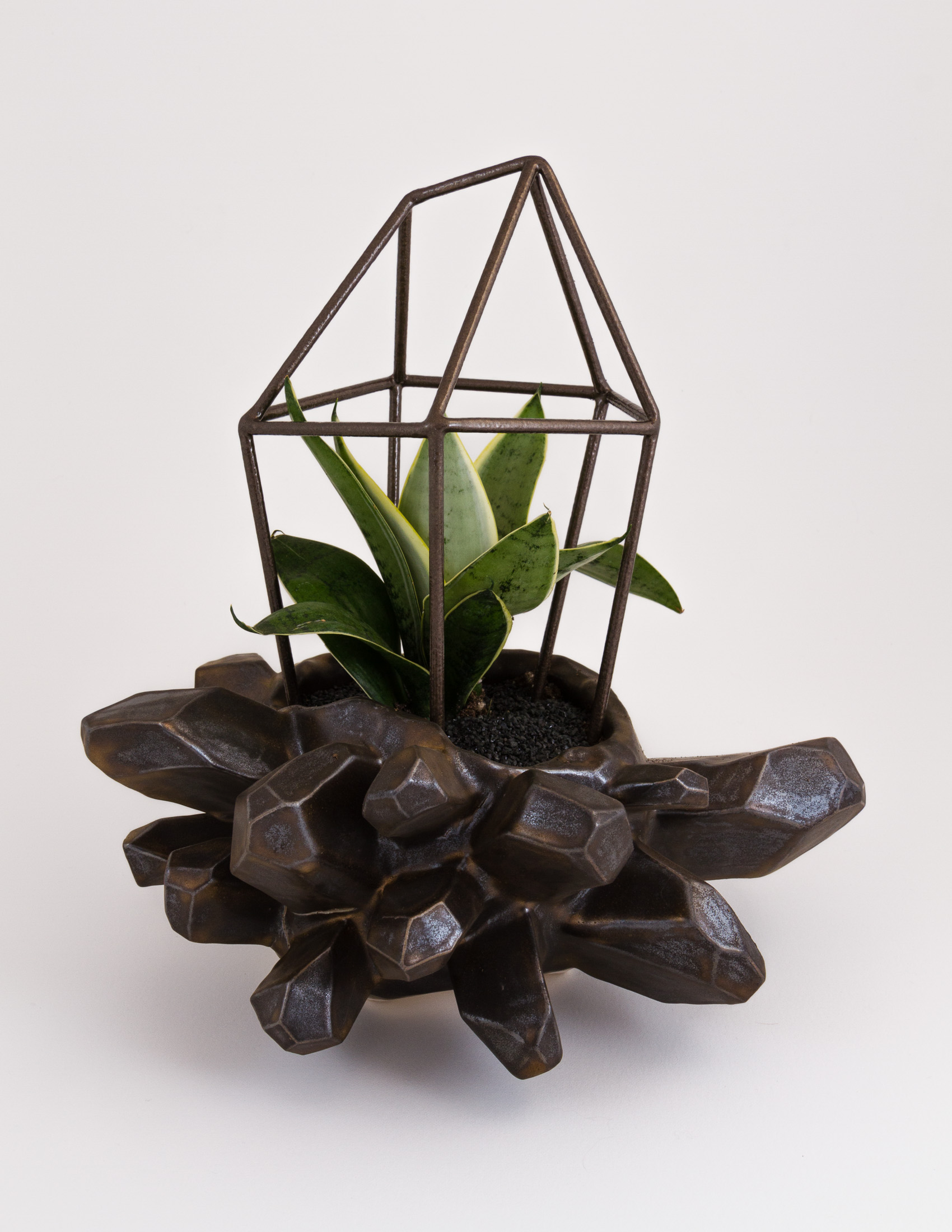 bronze_crystal_mass_with_plant.jpg