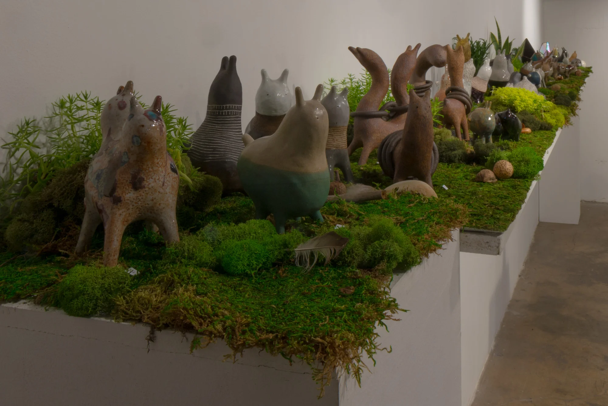 Bunny Primitives