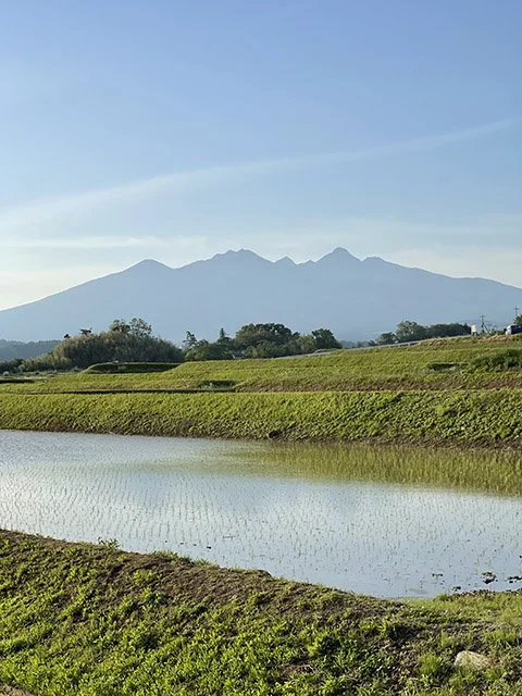yatsugatake-sunny.jpg