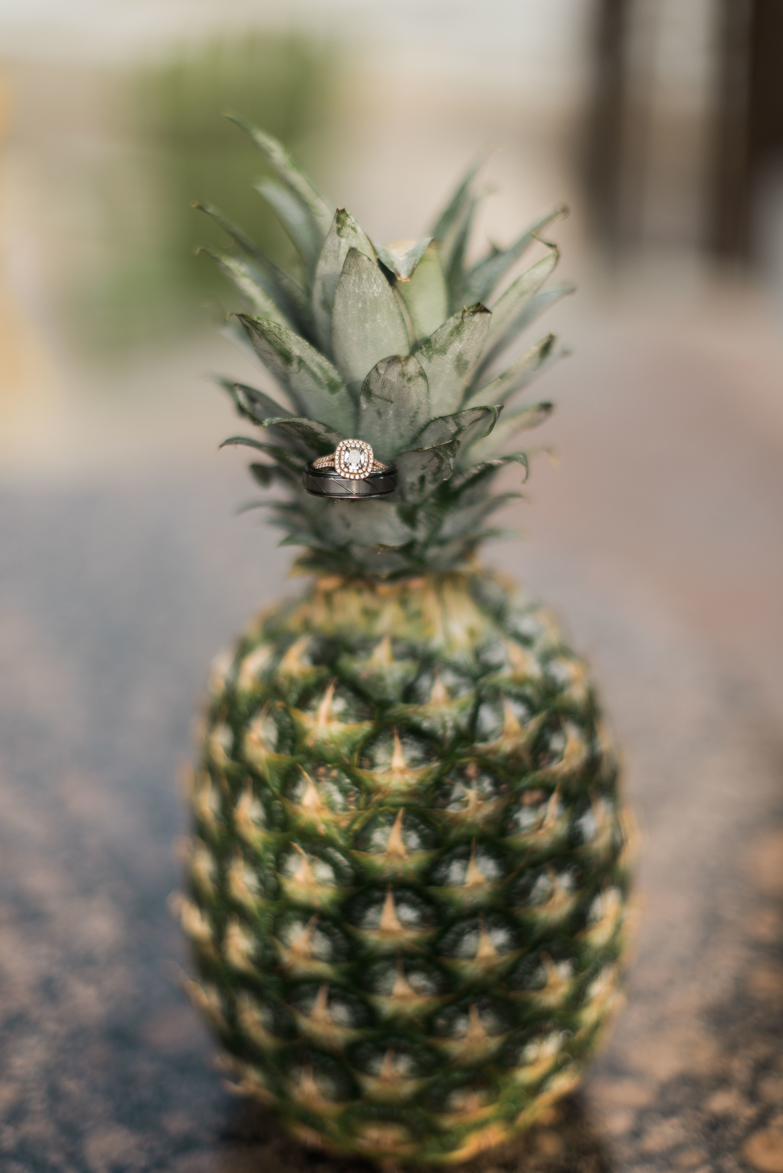 DSC_0712.jpg