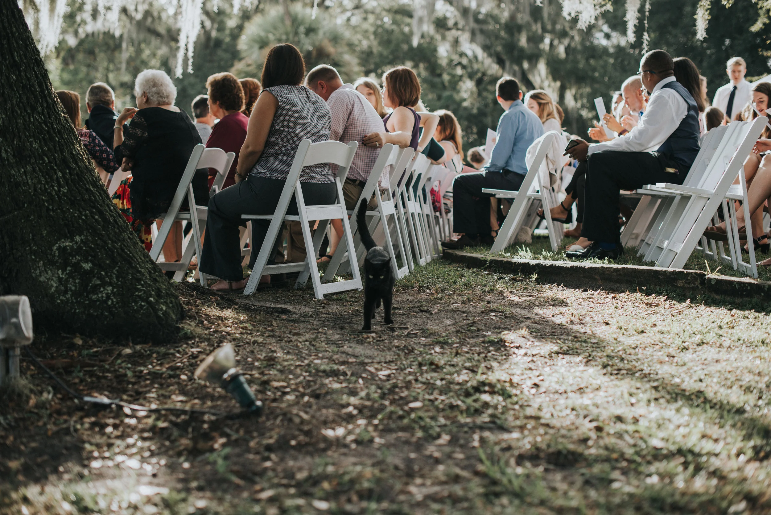David+Kelly-247.jpg