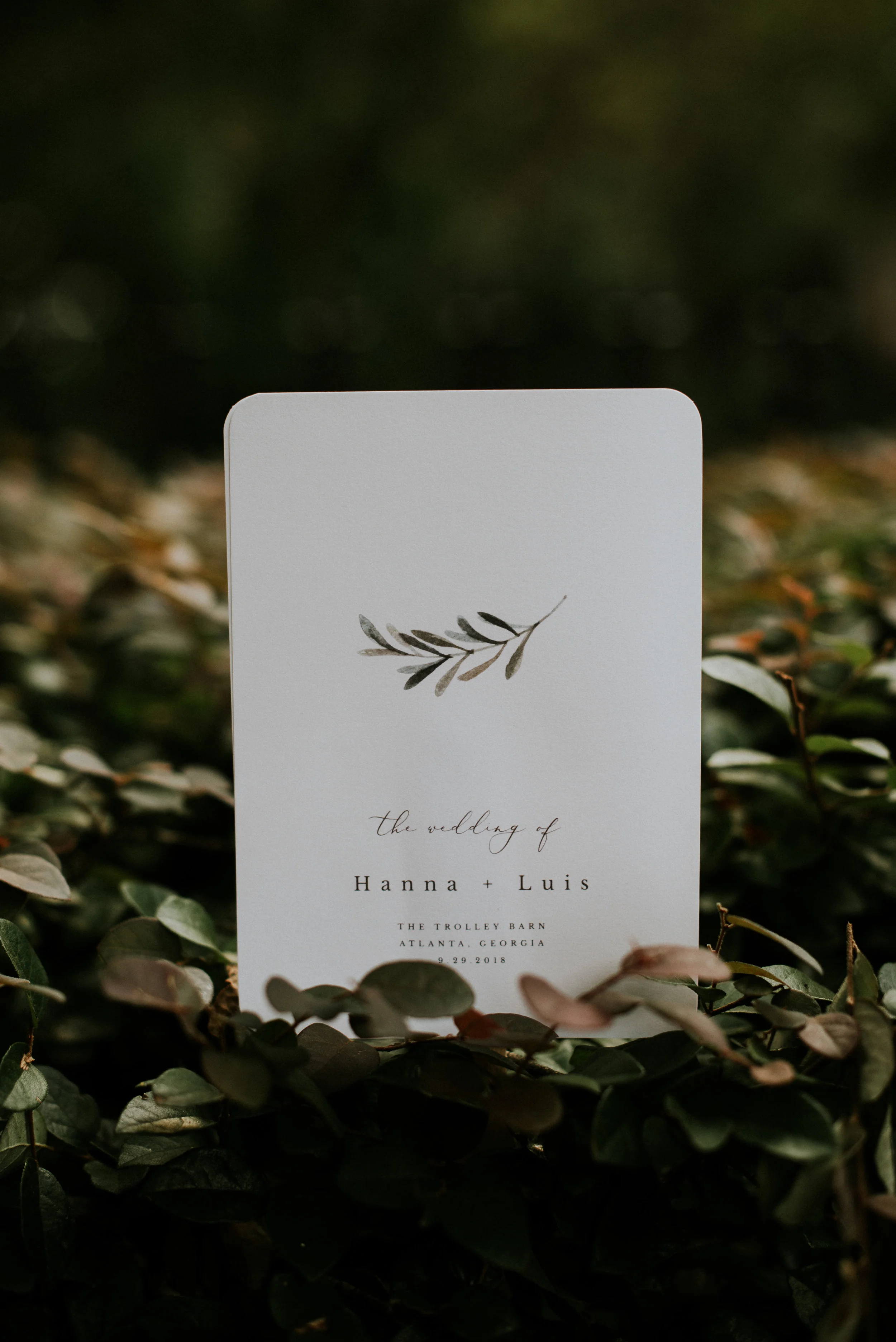 Minimalist wedding program
