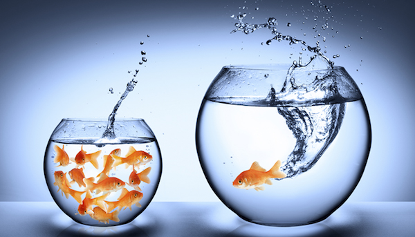 How to Take Your Business to the Next Level with NLP.jpg