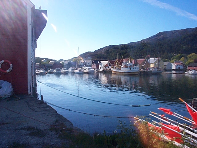Kalvåg