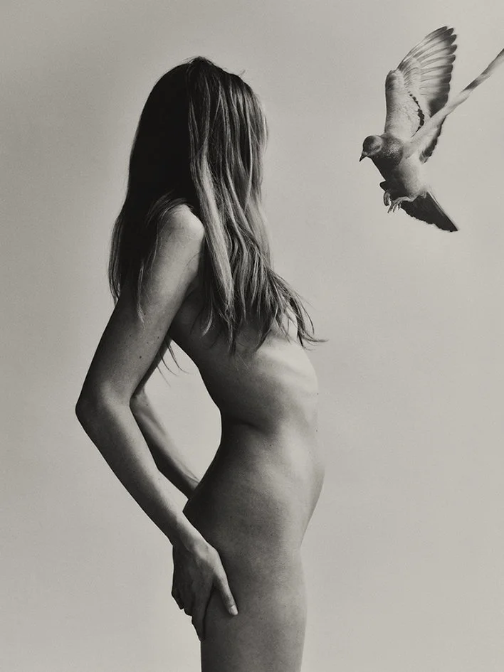 TERRITORY small.jpeg