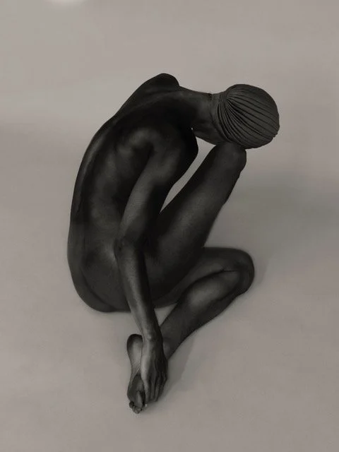 BLACK SWAN Neeltje de Vries.jpeg