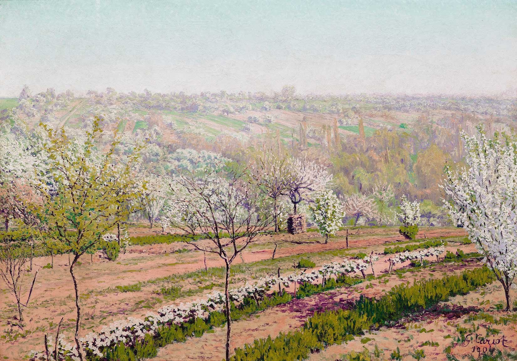 Verger-fleuriWS.jpg