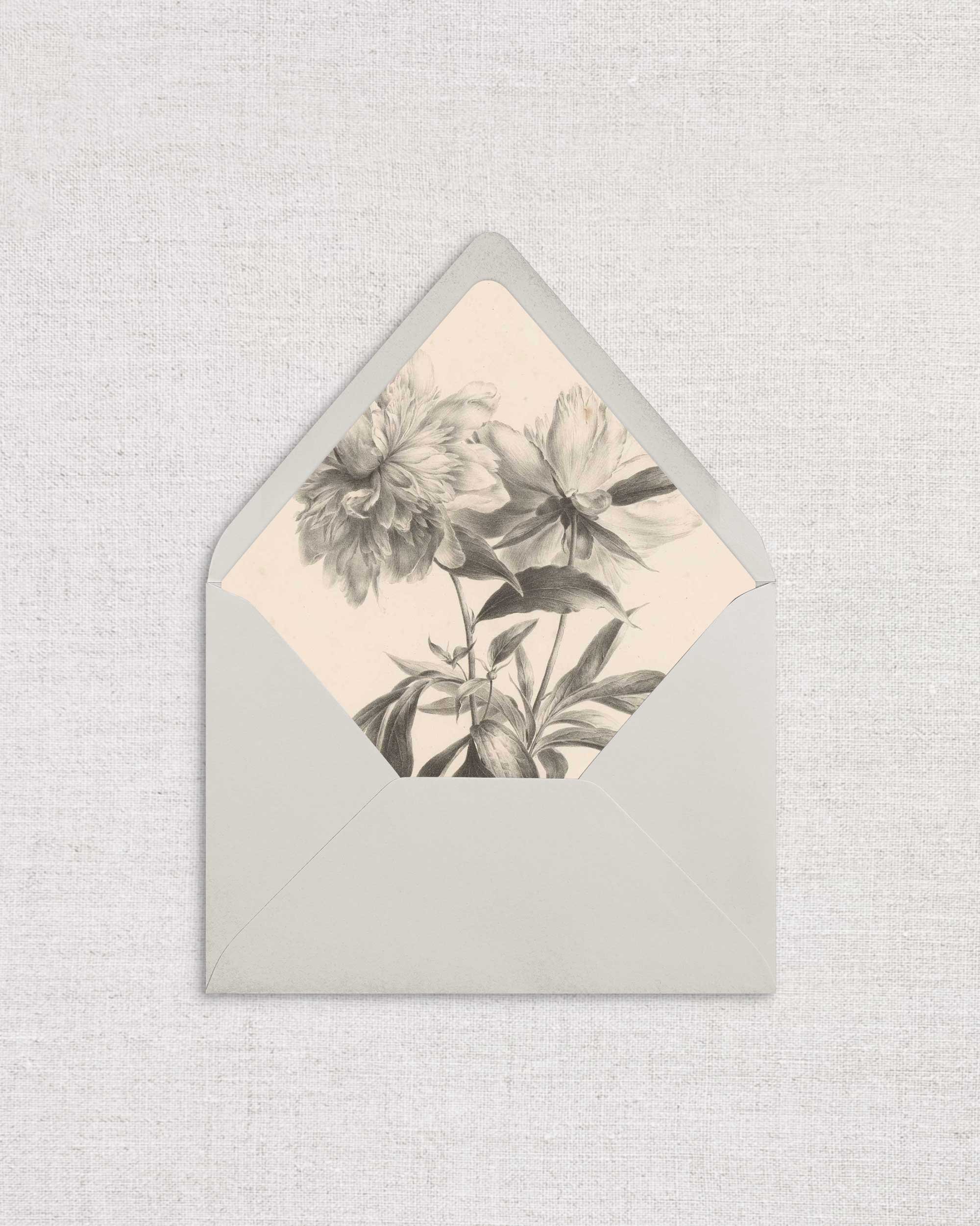 Peony-StudyLiner-.jpg