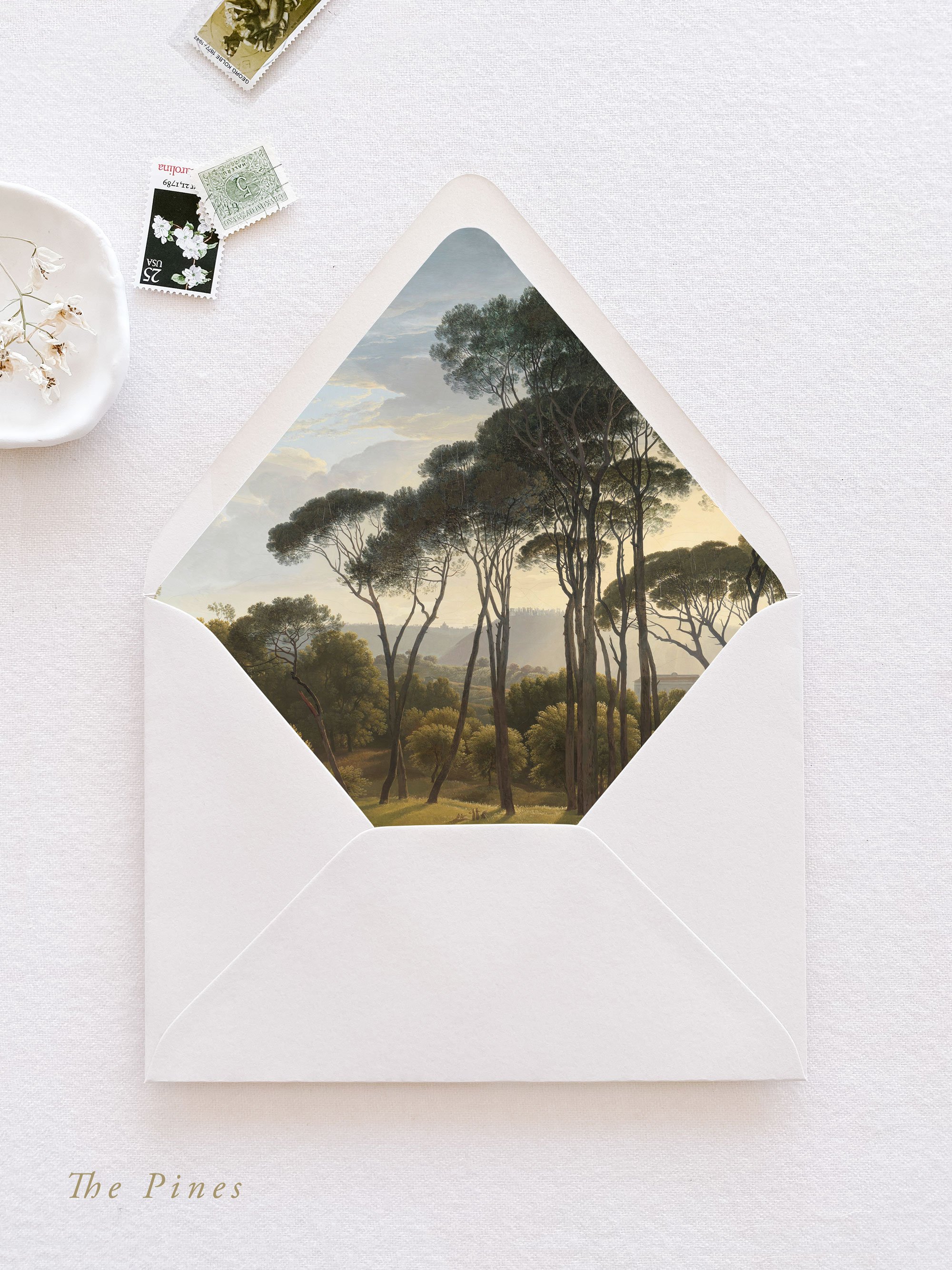 Envelope-Liner-The-Pines.jpg