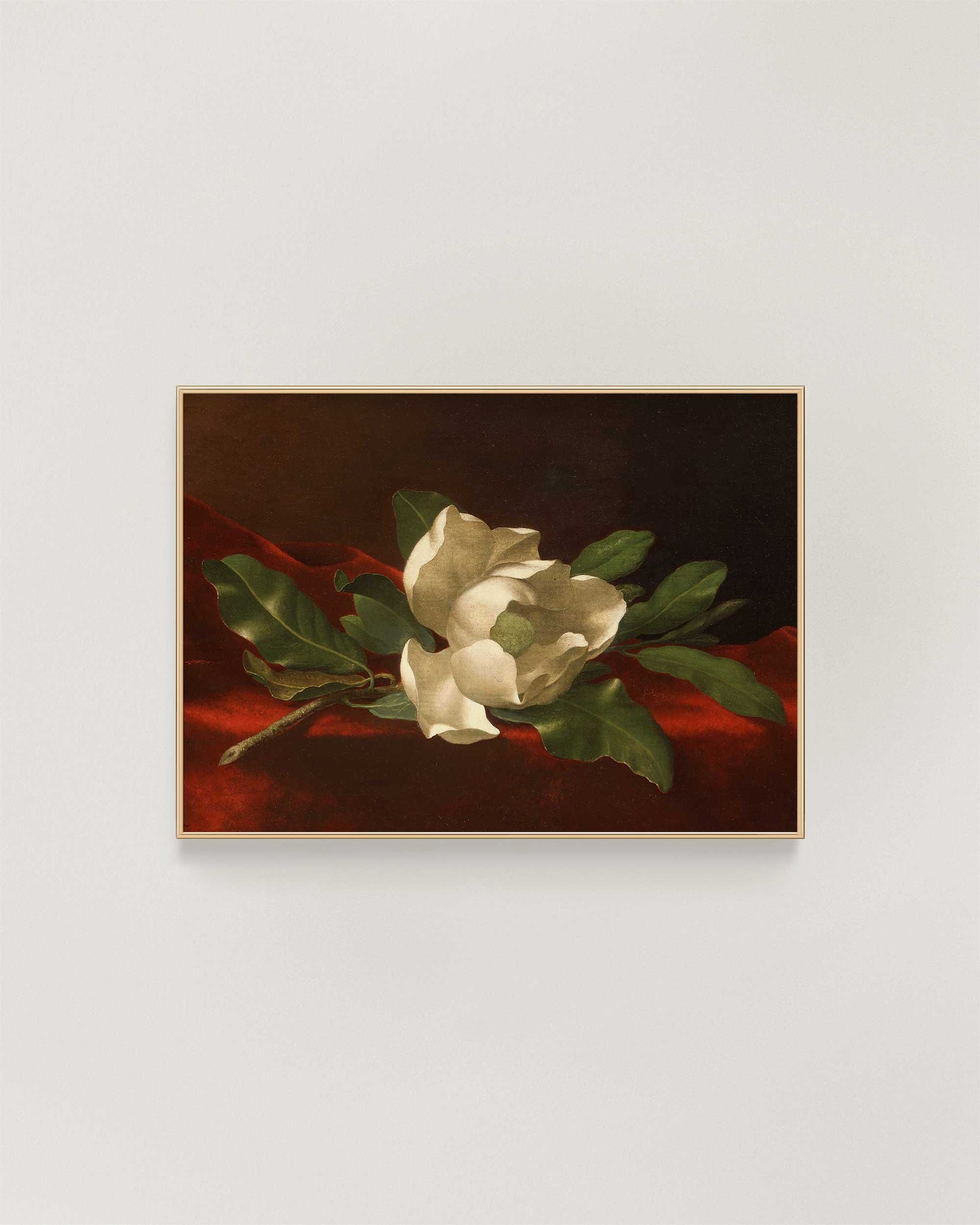 Magnolia-on-Velvet-Frame-.jpg