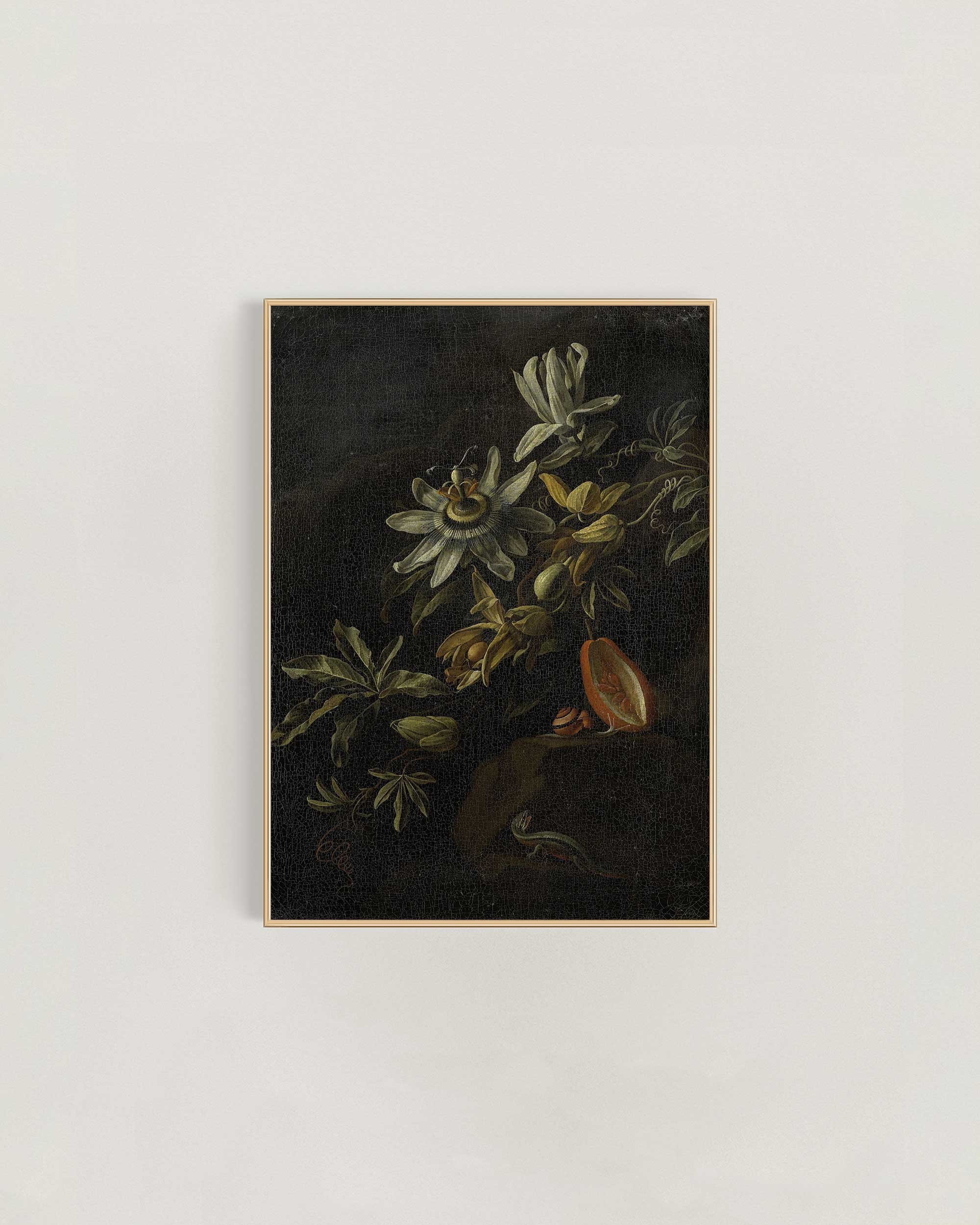 Still-Life-Passionflower-Frame-.jpg